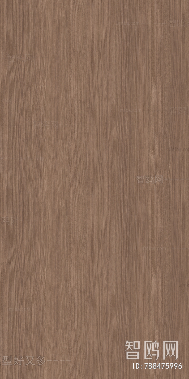 Wood Texture