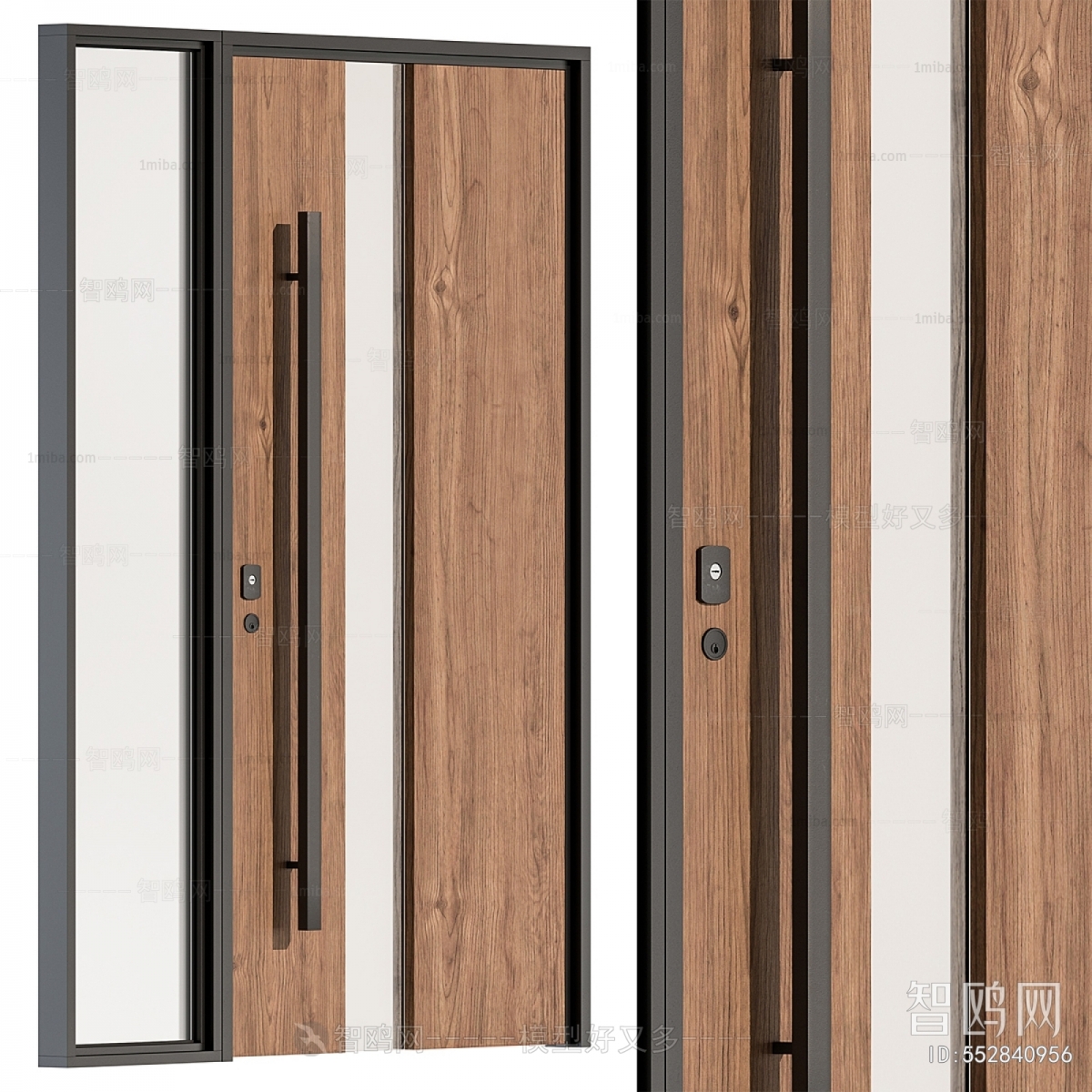 Modern Door