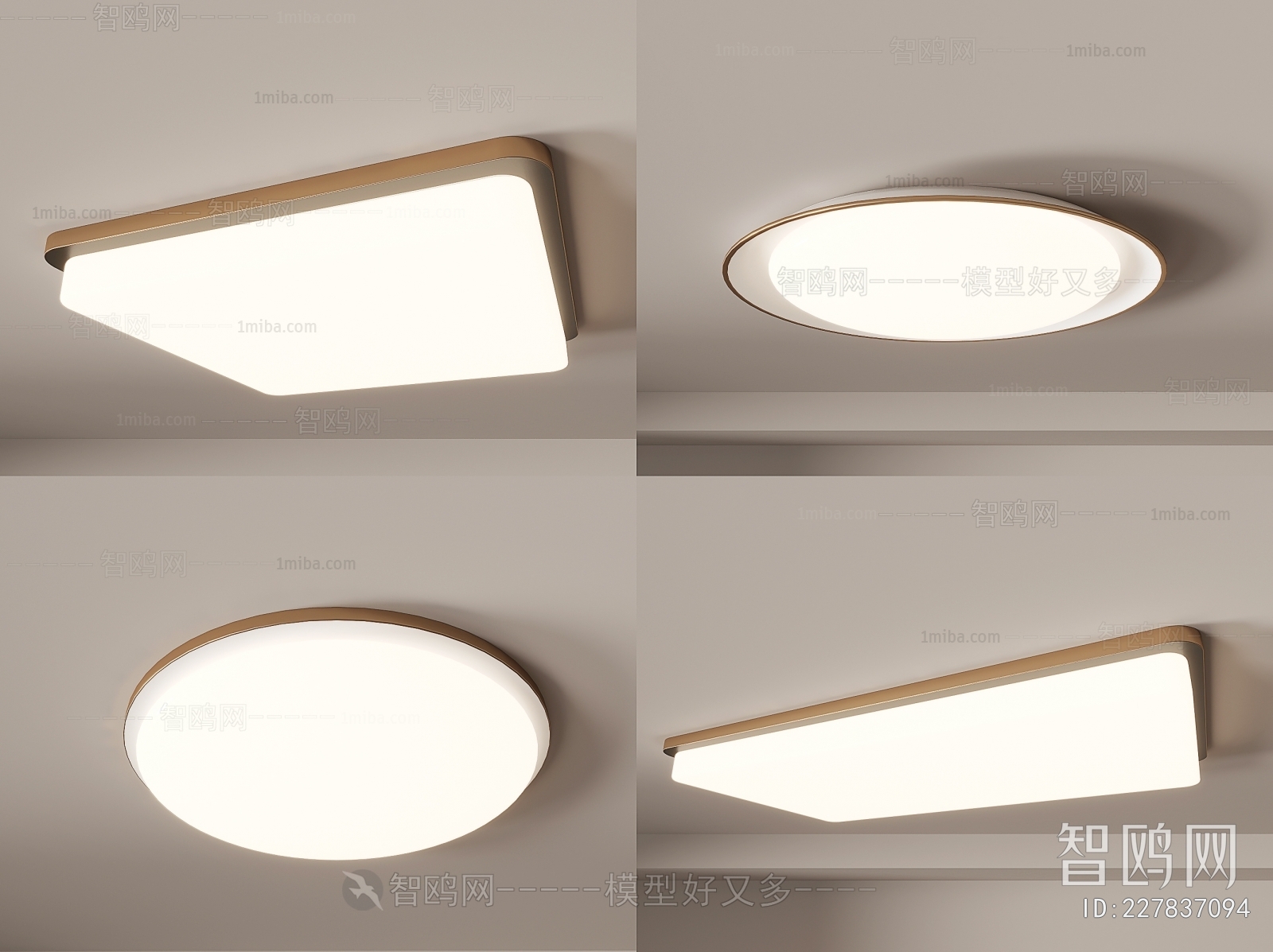 Modern Ceiling Ceiling Lamp