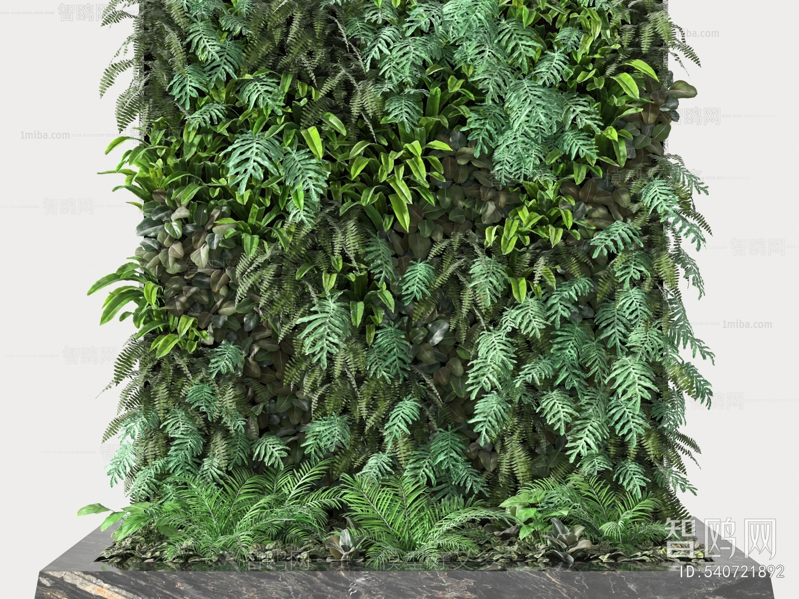 Modern Plant Wall