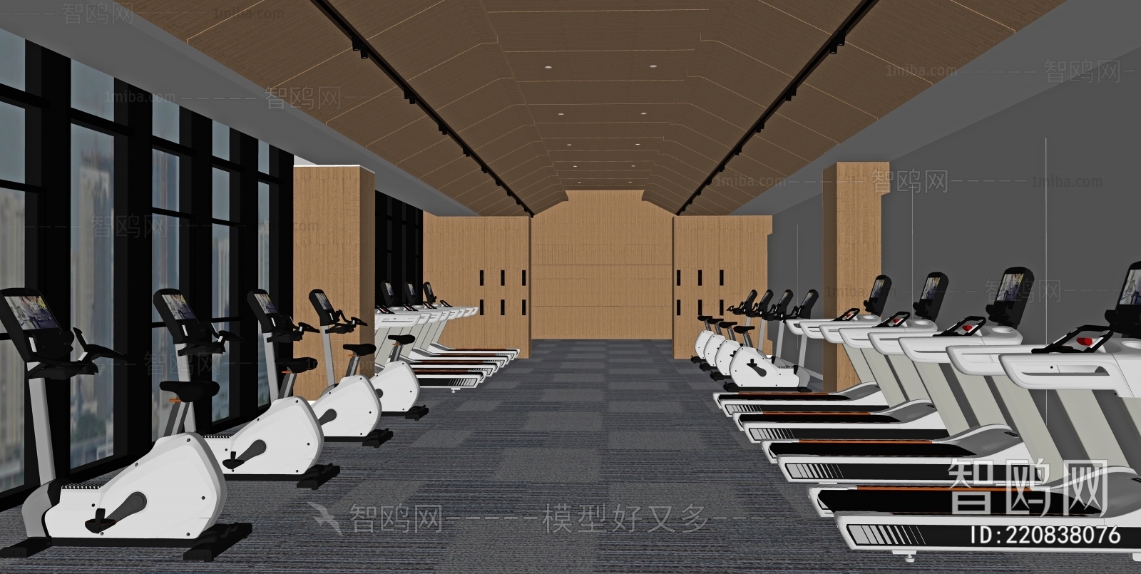 Modern Gym