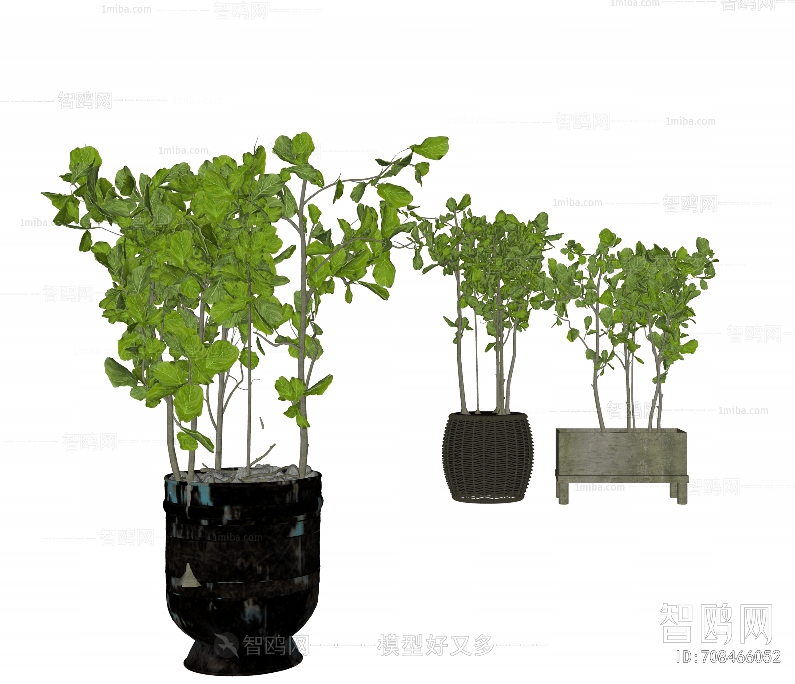 Modern Potted Green Plant