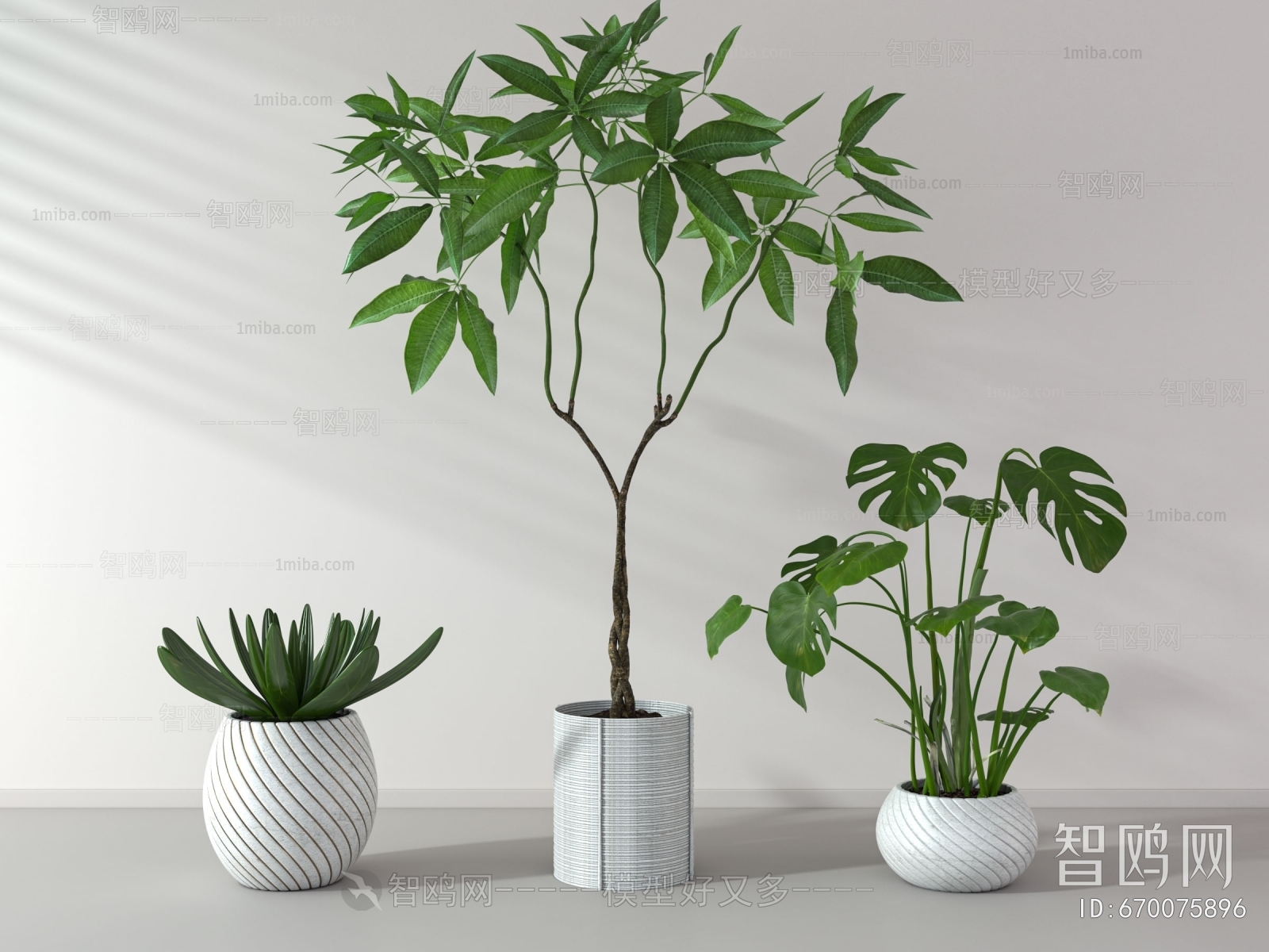 Modern Potted Green Plant