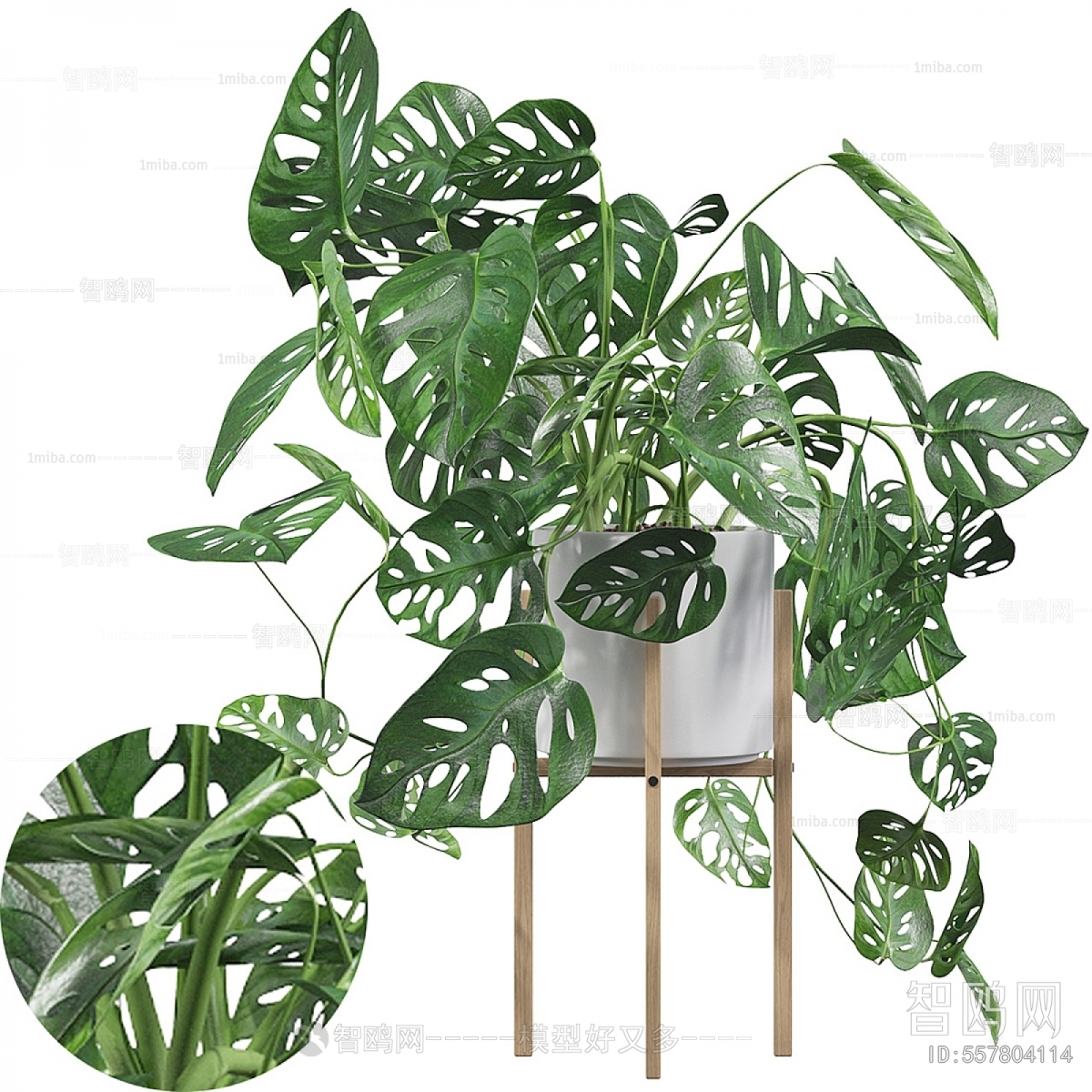 Modern Potted Green Plant