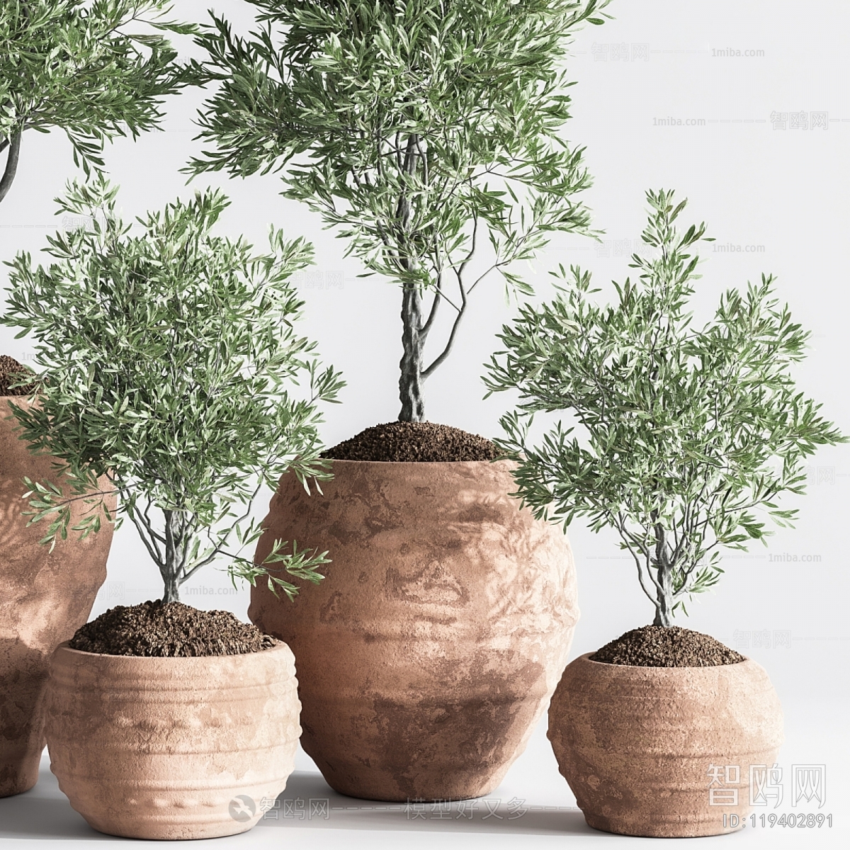 Modern Wabi-sabi Style Potted Green Plant