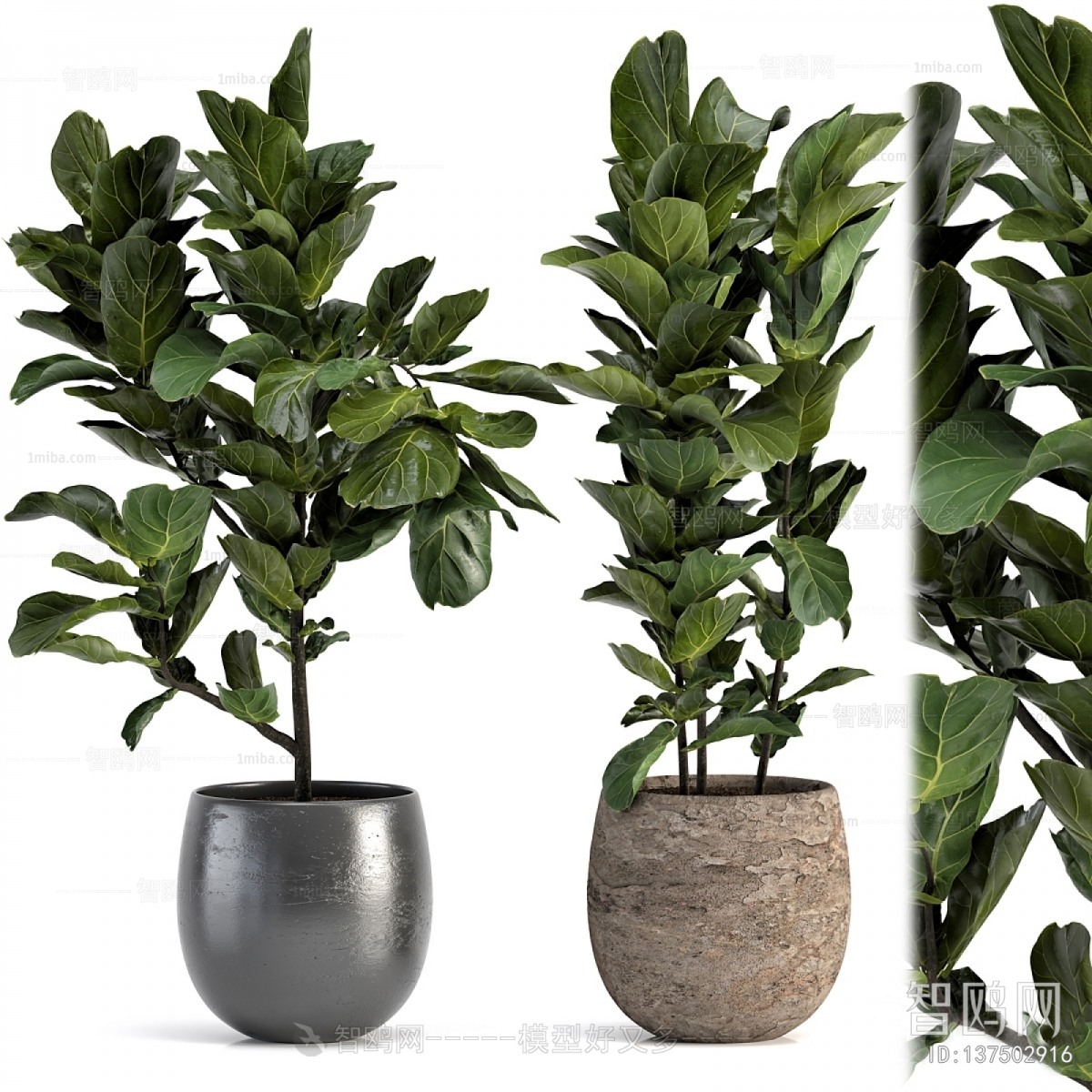 Modern Potted Green Plant