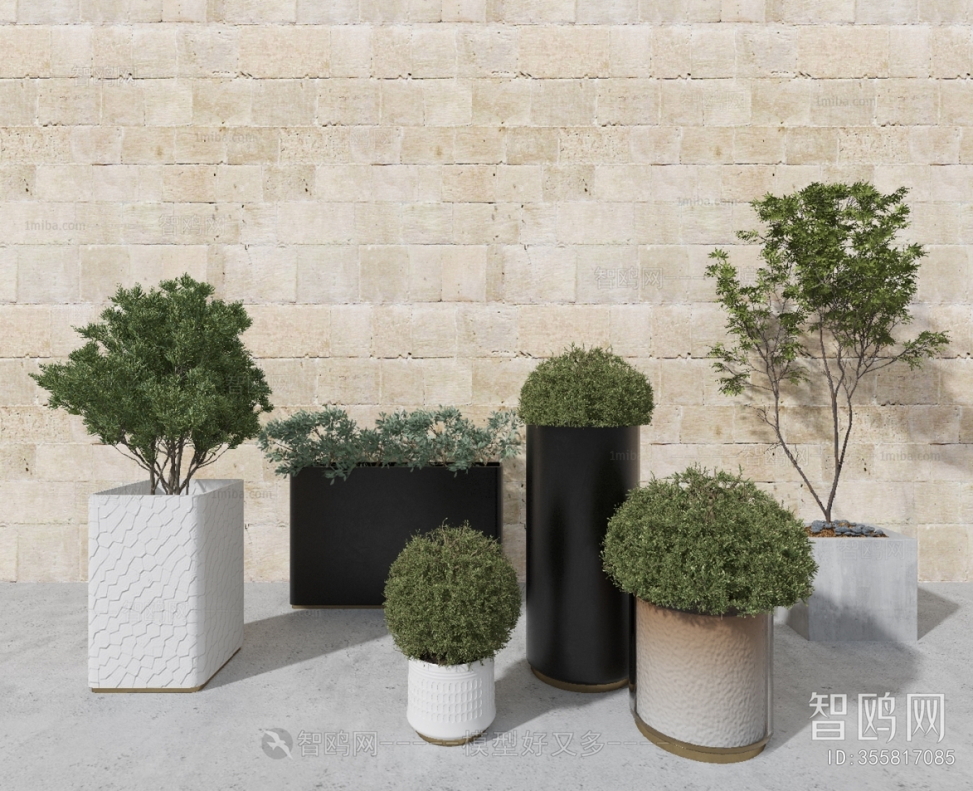 Modern Potted Green Plant