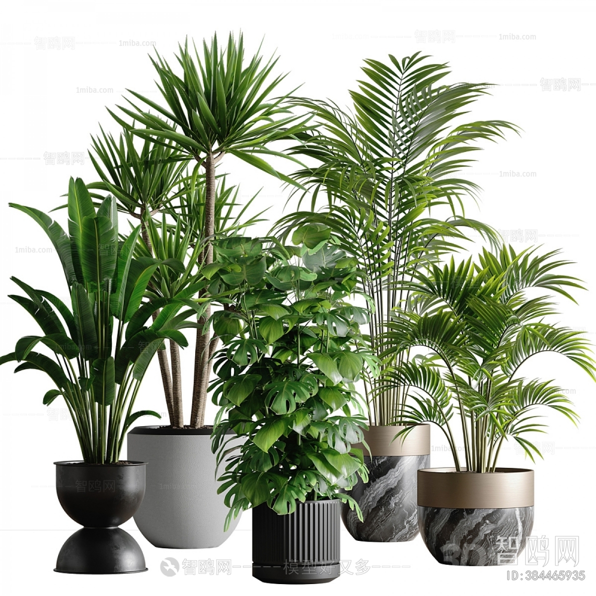 Modern Potted Green Plant