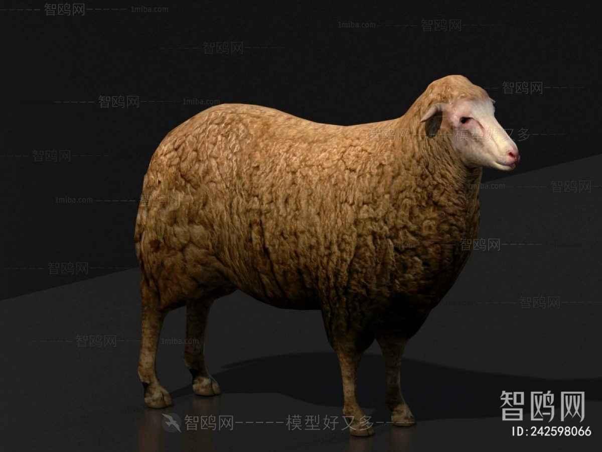 现代绵羊