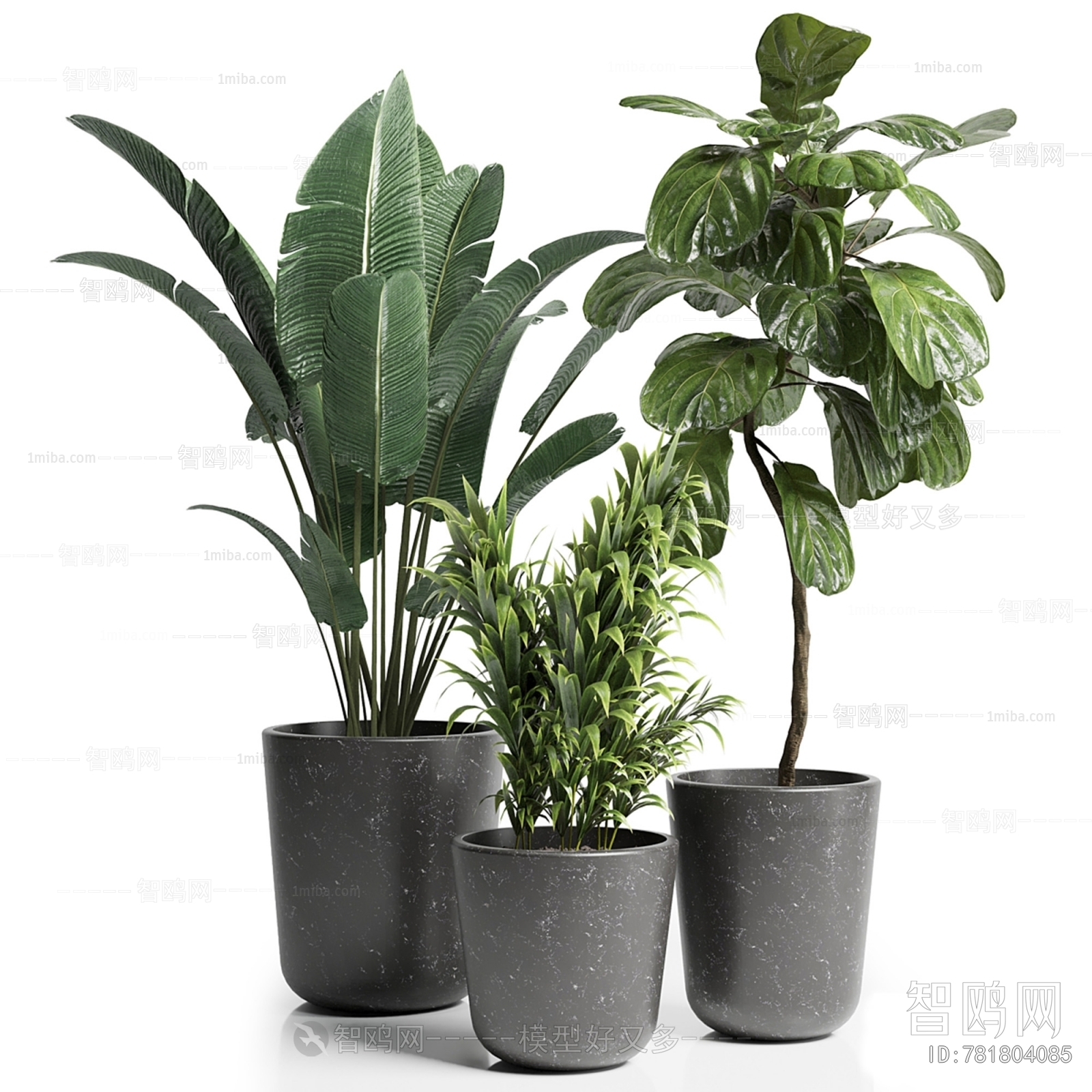 Modern Potted Green Plant