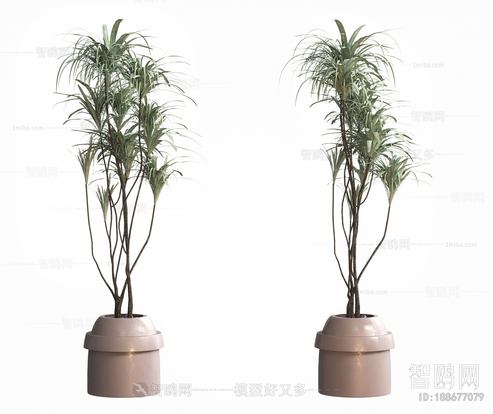 Wabi-sabi Style Potted Green Plant