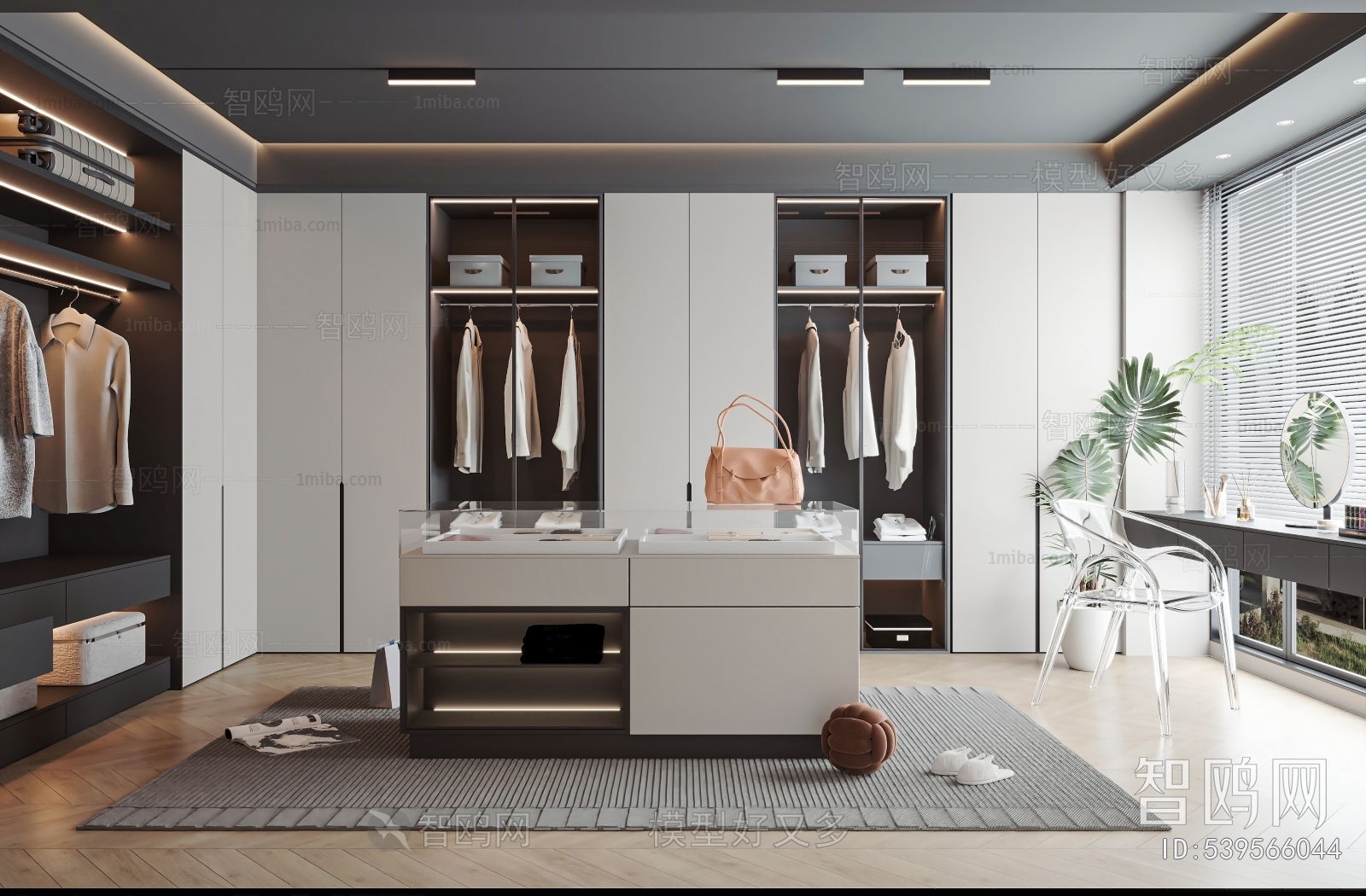 Modern Clothes Storage Area