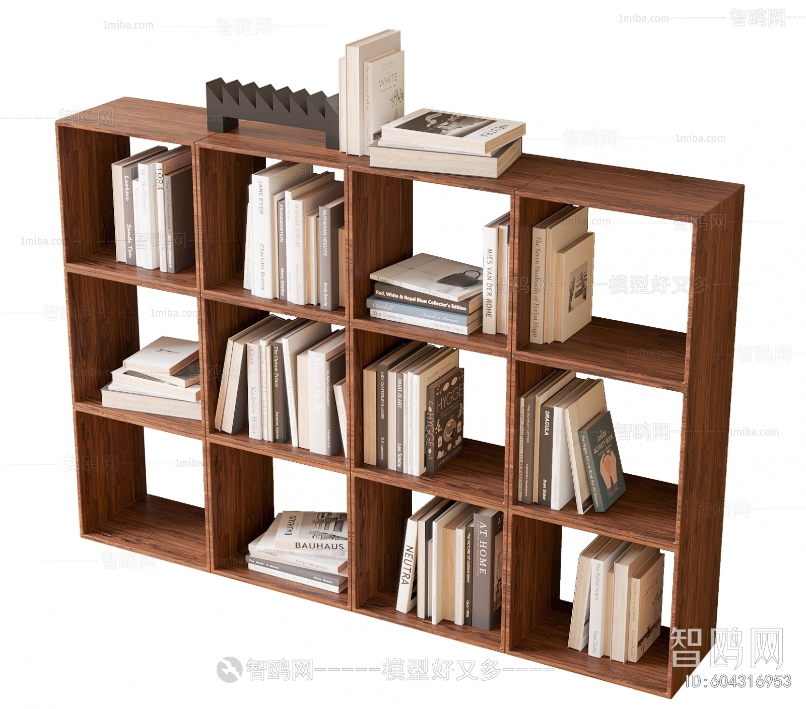 Modern Bookshelf