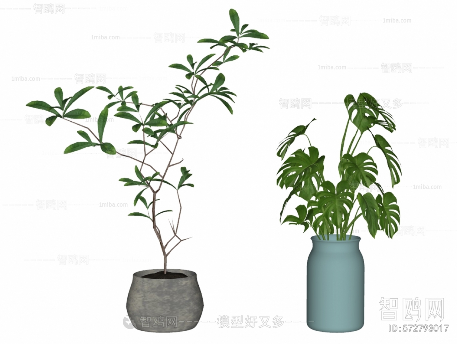 现代植物花瓶盆栽组合