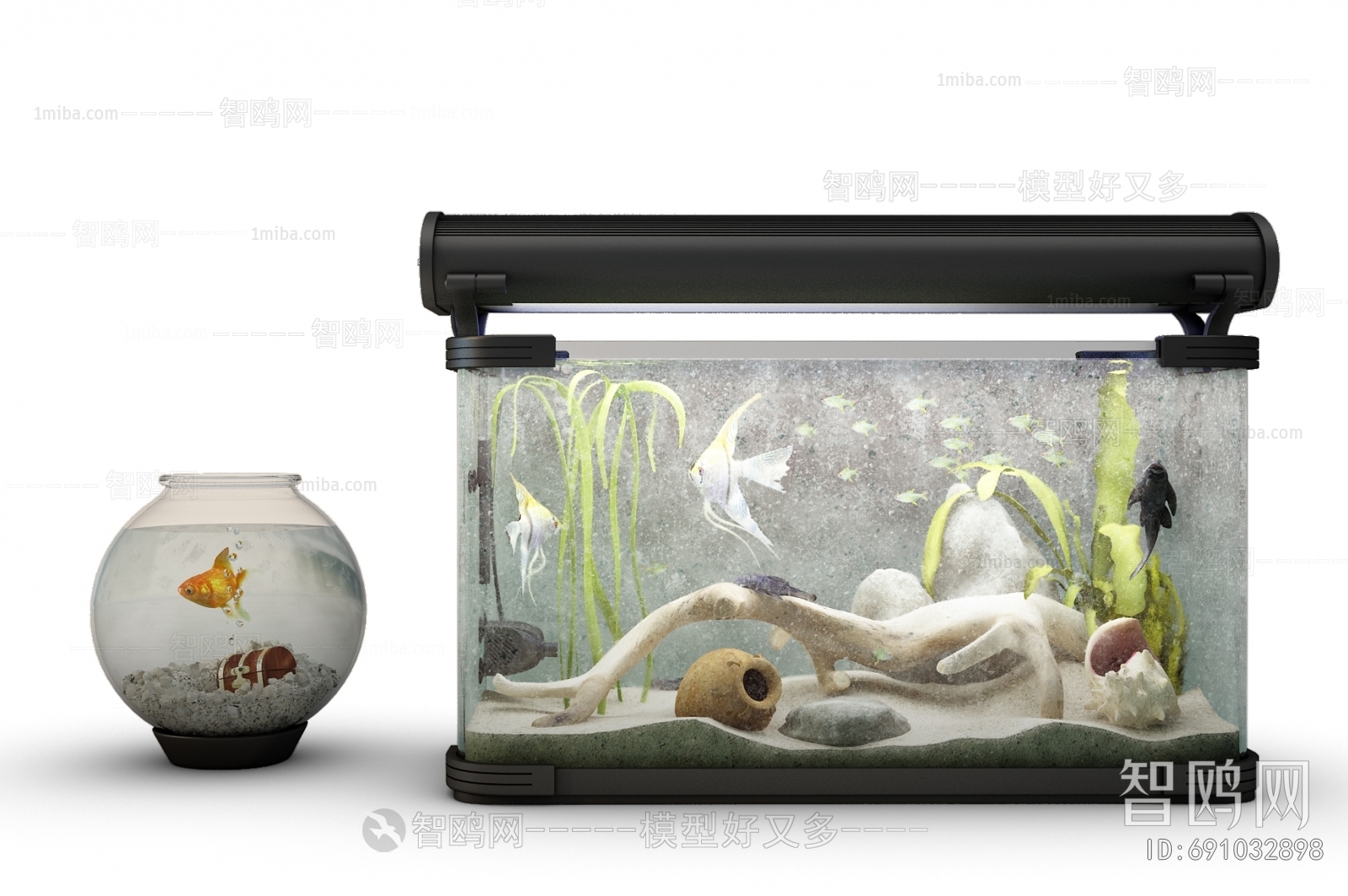 Modern Fish Tank