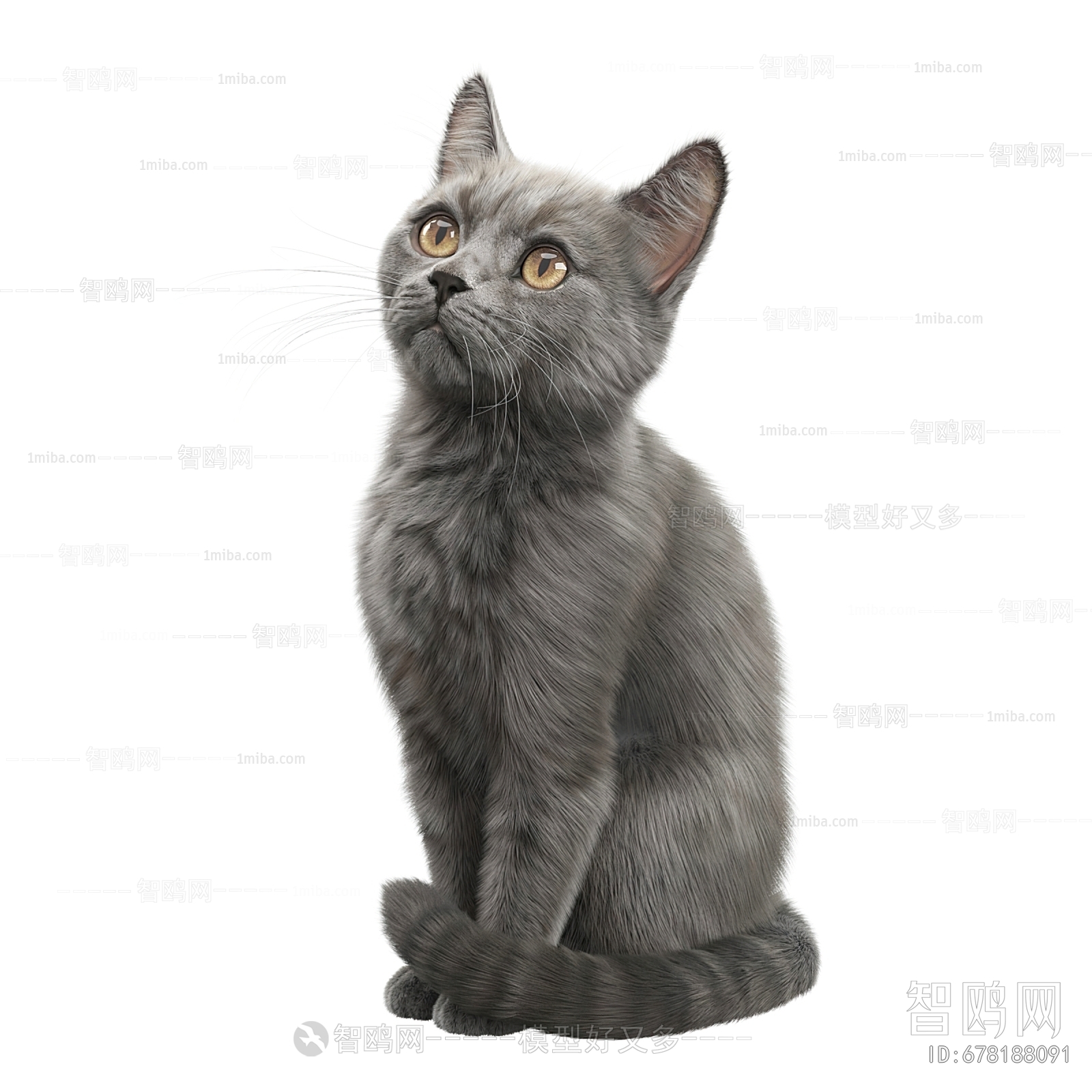 现代灰色宠物猫