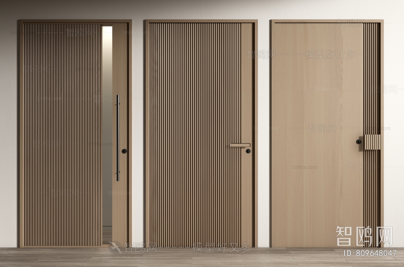 Modern Entrance Door