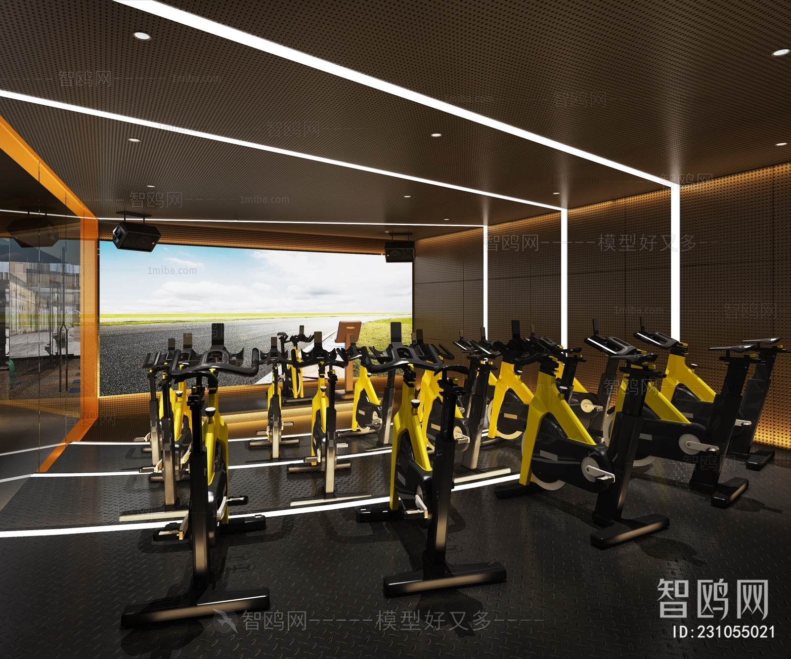 Modern Gym