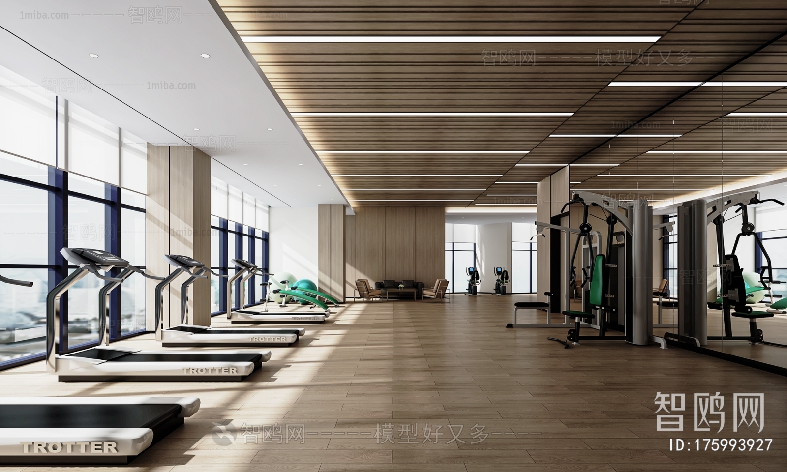 Modern Gym