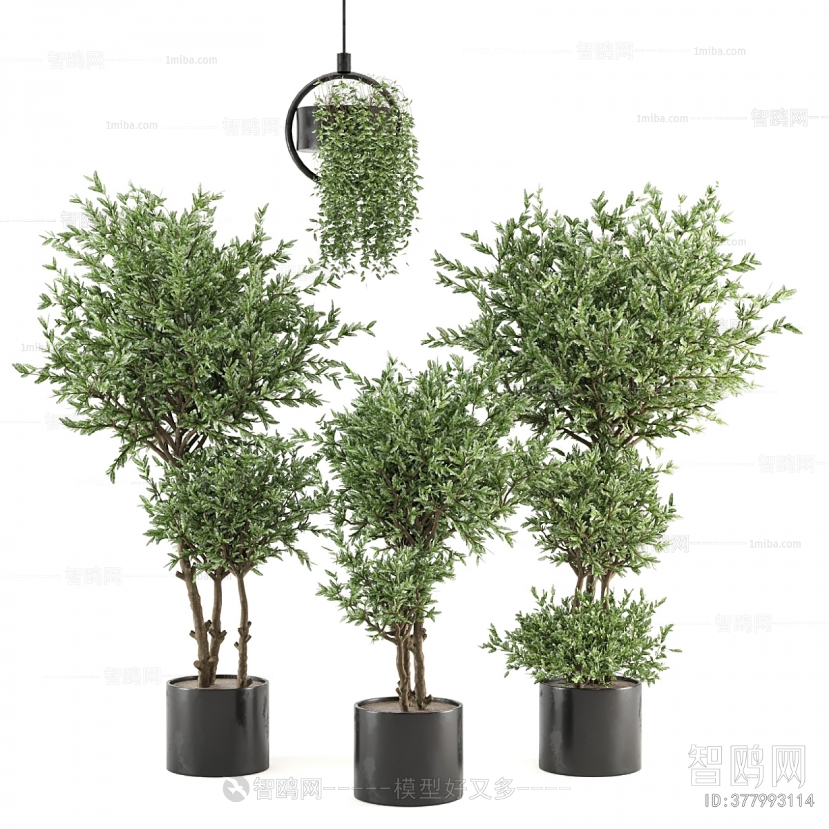 Modern Ground Green Plant Potted Plants