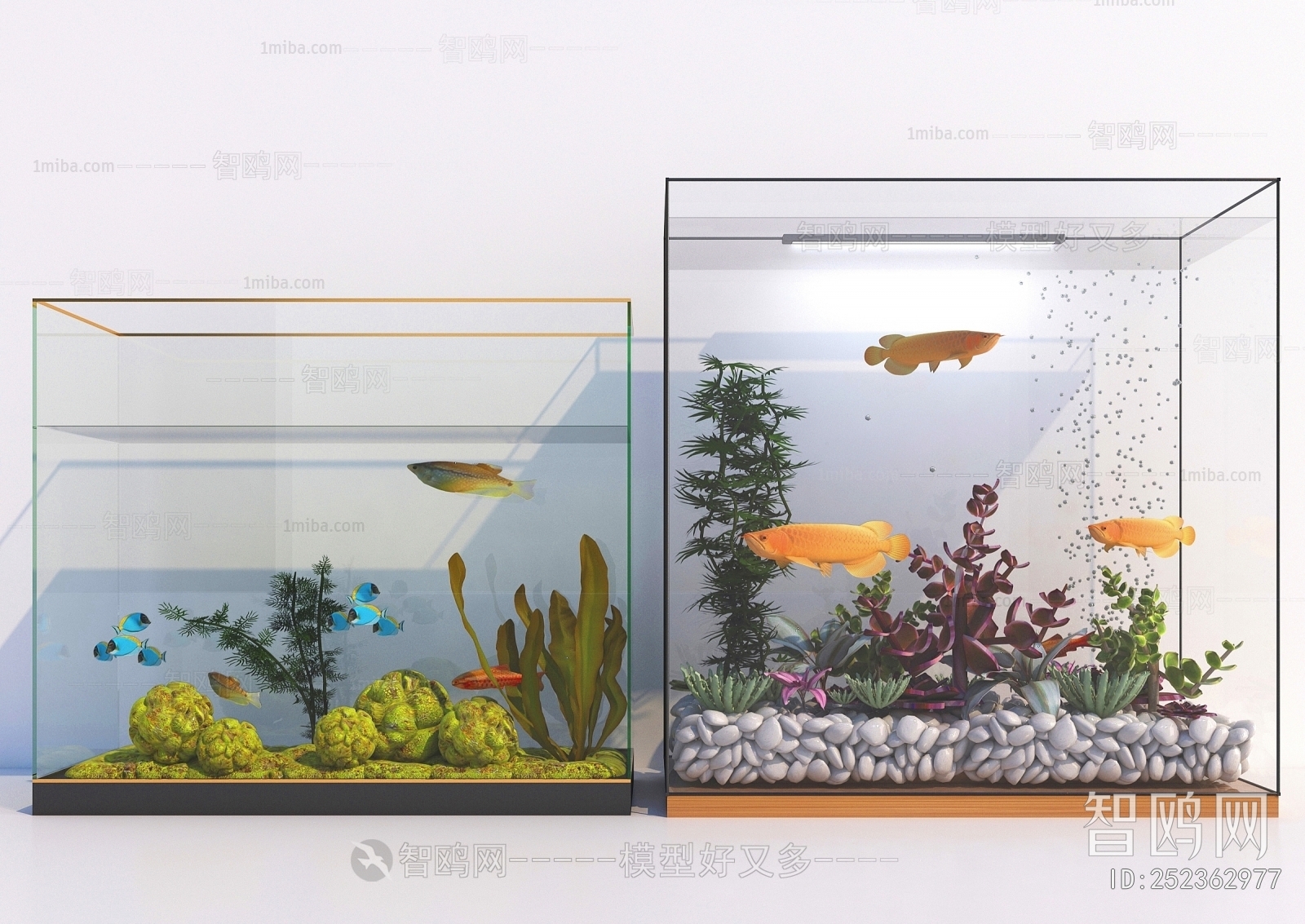 Modern Fish Tank