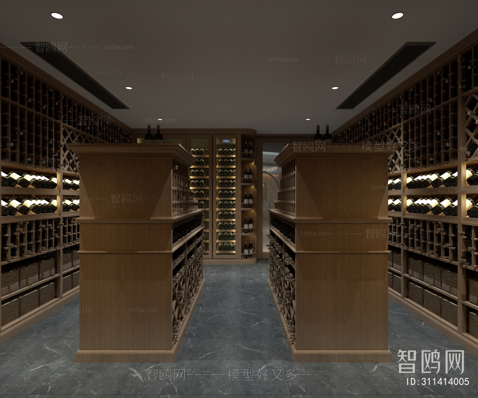 Modern Wine Cellar/Wine Tasting Room