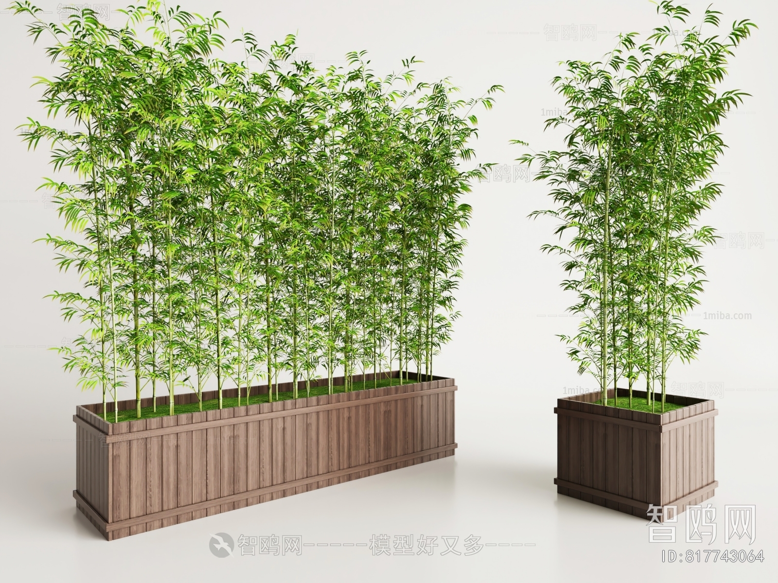 Modern Bamboo