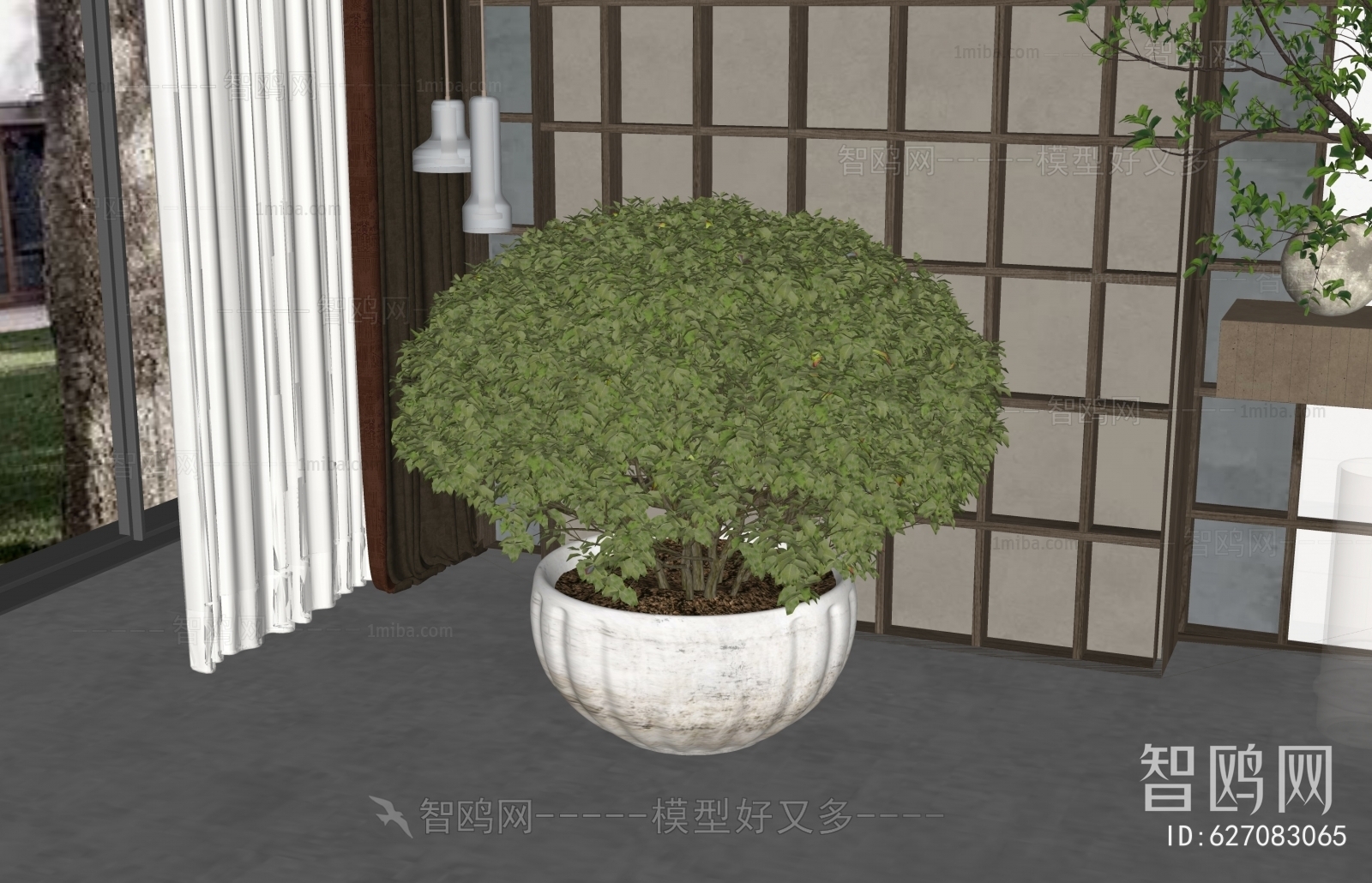 现代绿植盆栽