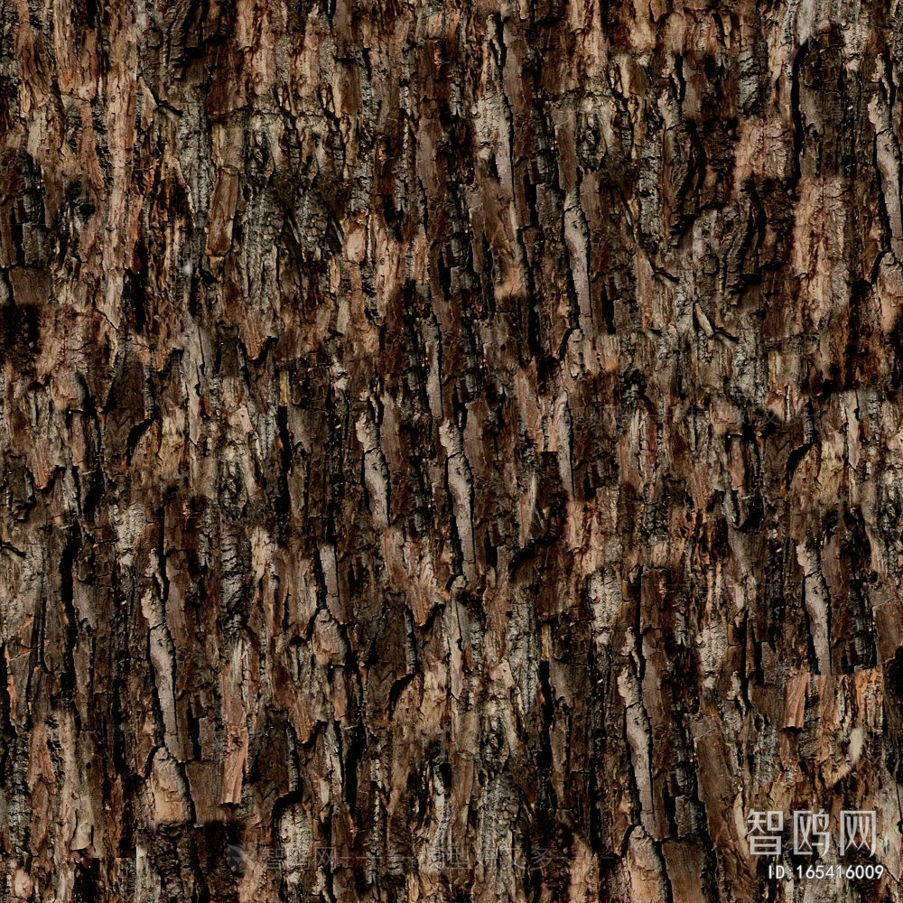 Bark Texture