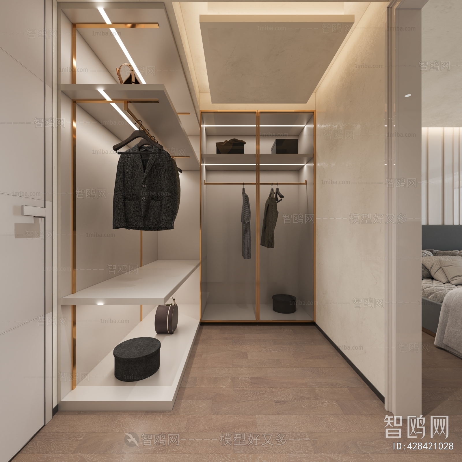 Modern Clothes Storage Area