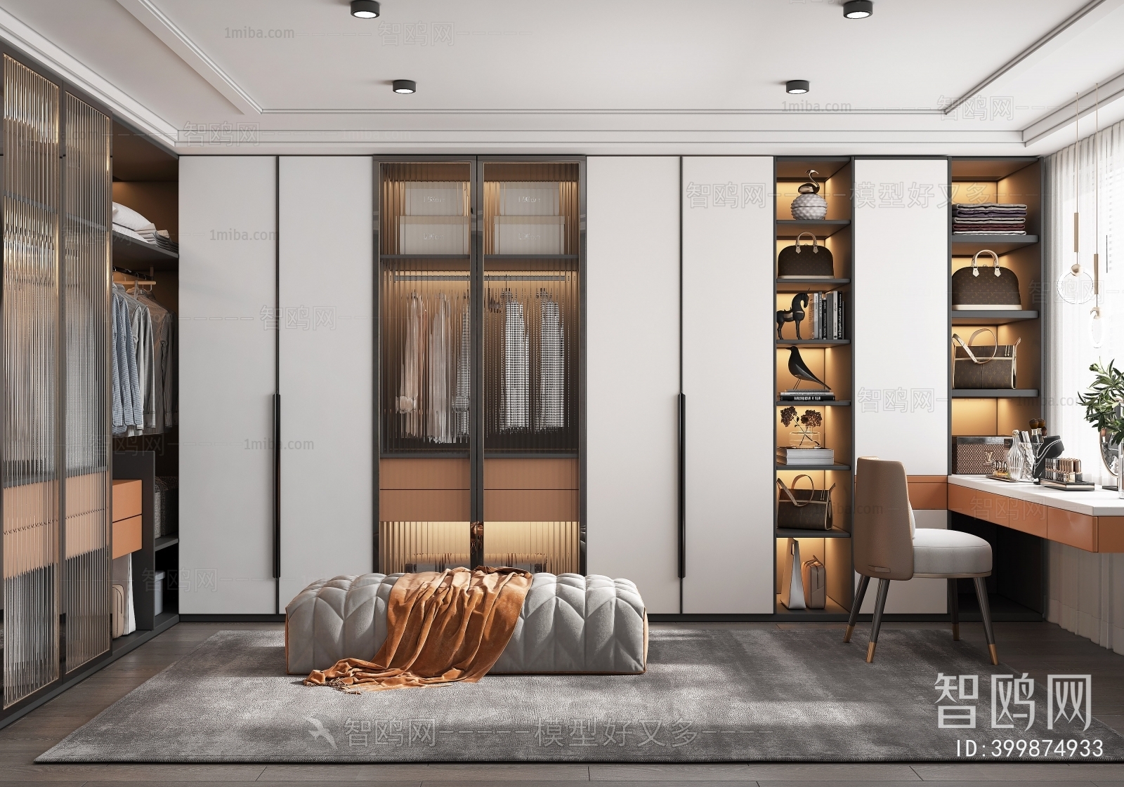 Modern Clothes Storage Area