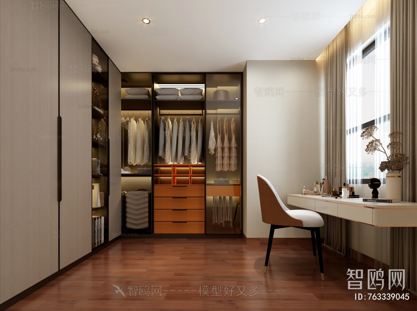 Modern Clothes Storage Area