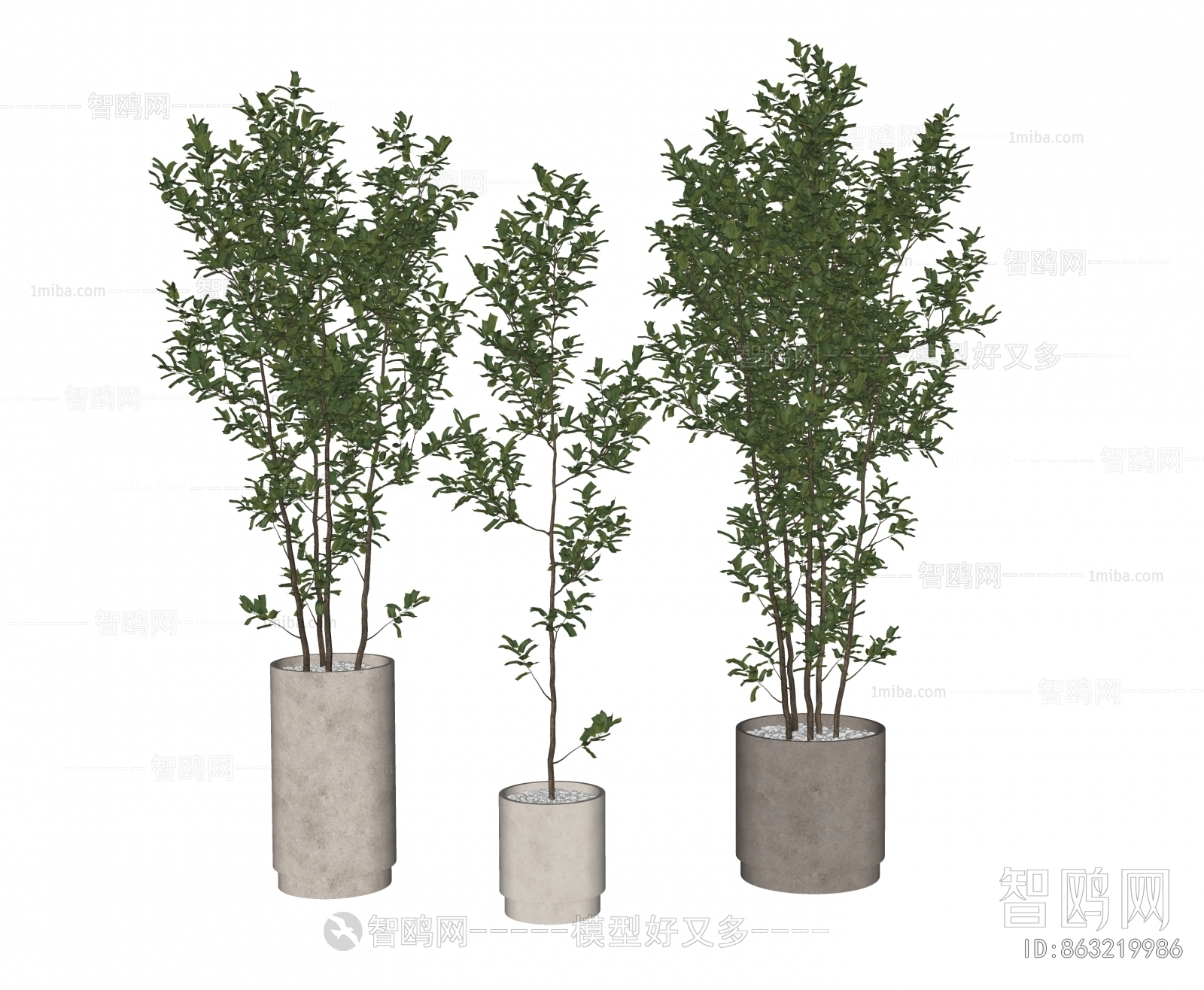 Modern Ground Green Plant Potted Plants