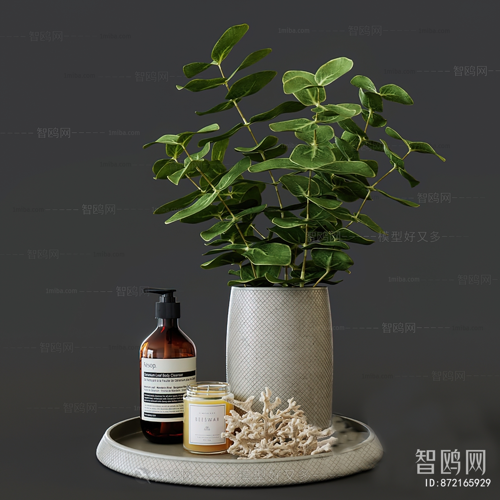 Modern Desktop Plant