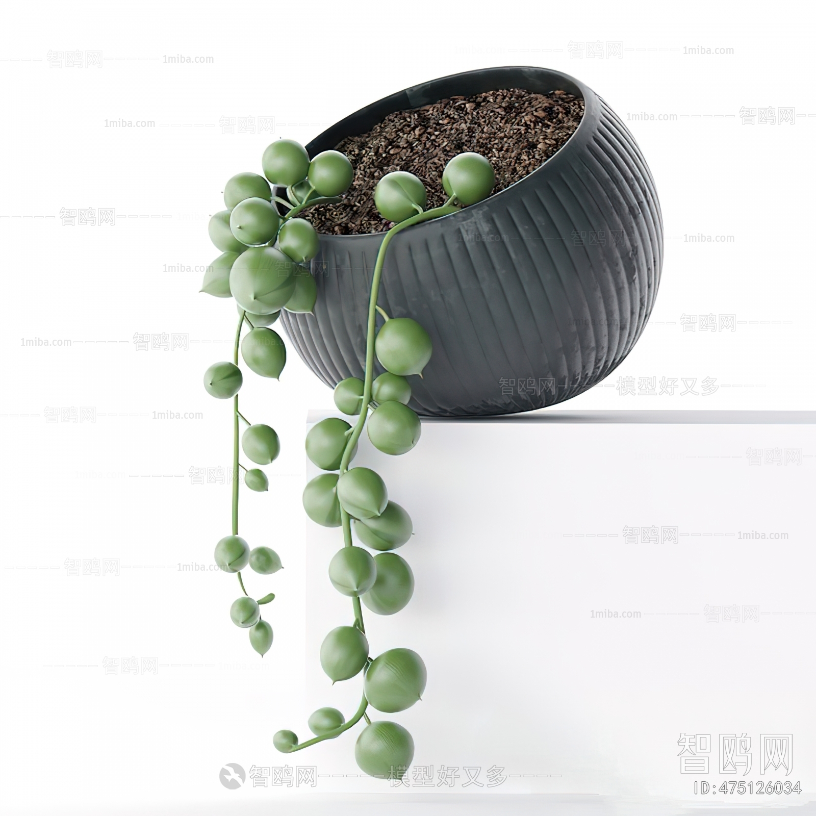 Modern Bonsai