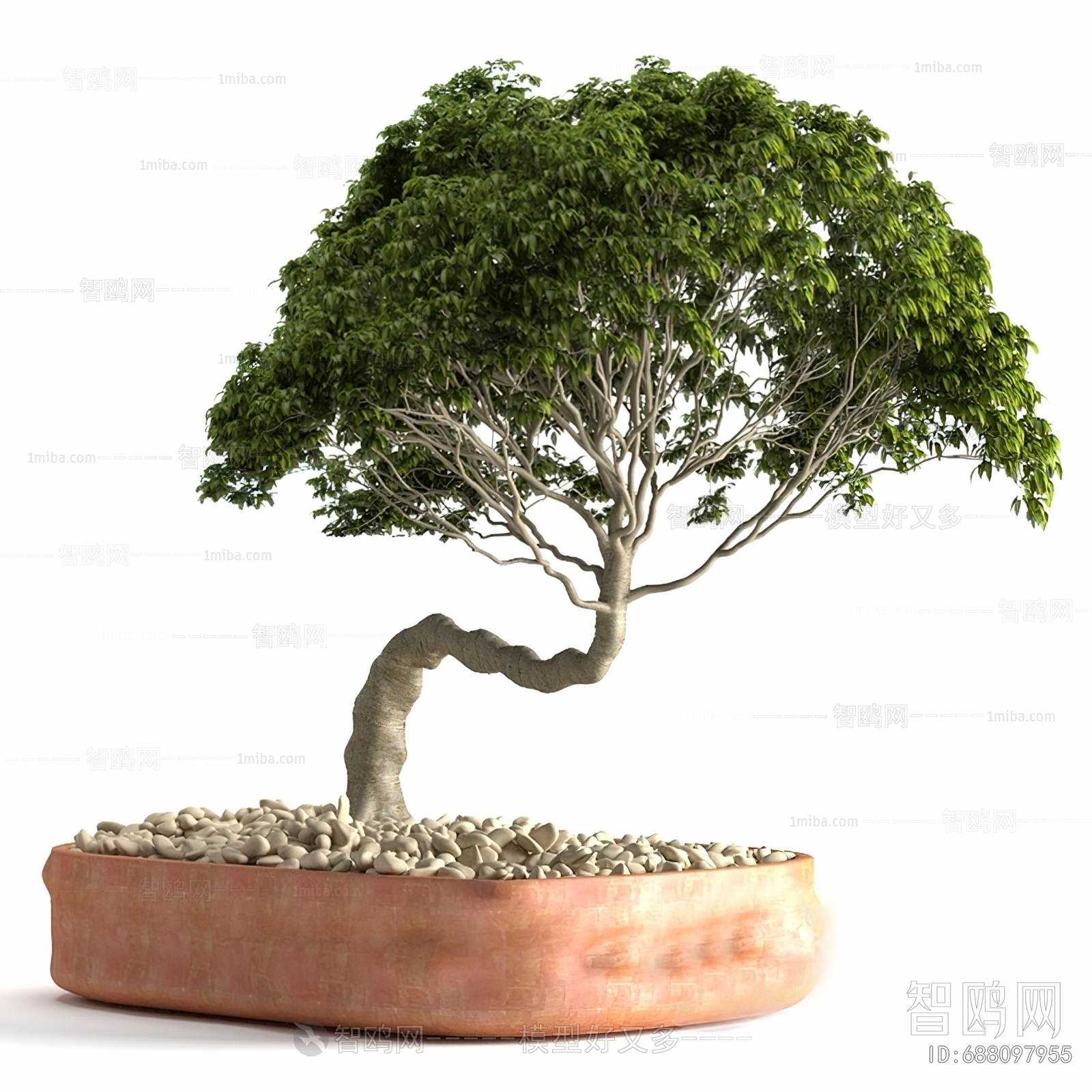 Modern Bonsai