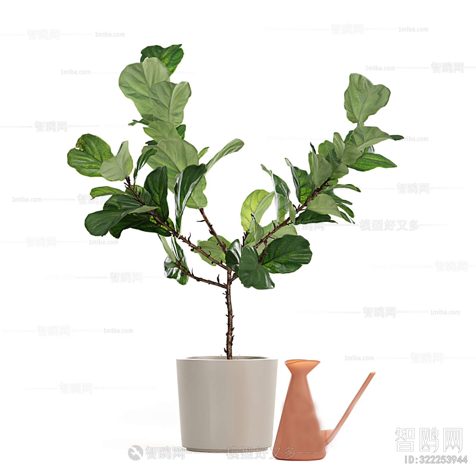 Modern Potted Green Plant