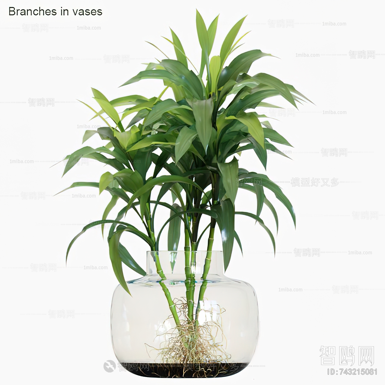 Modern Aquatic Green Plant