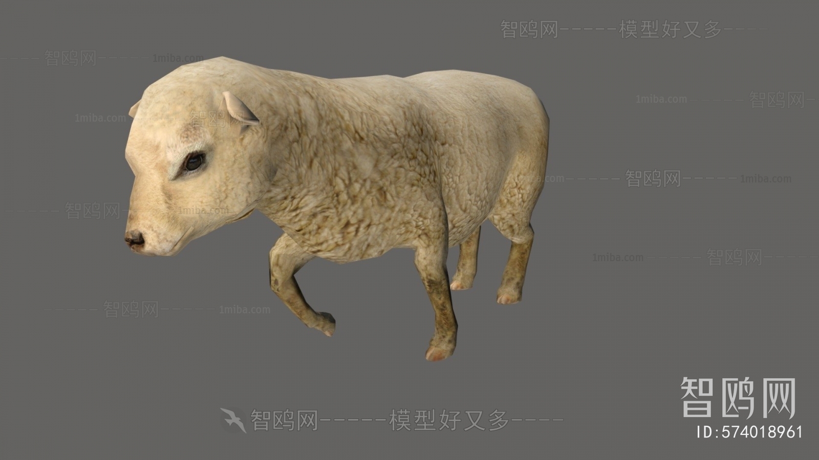 现代动物羊
