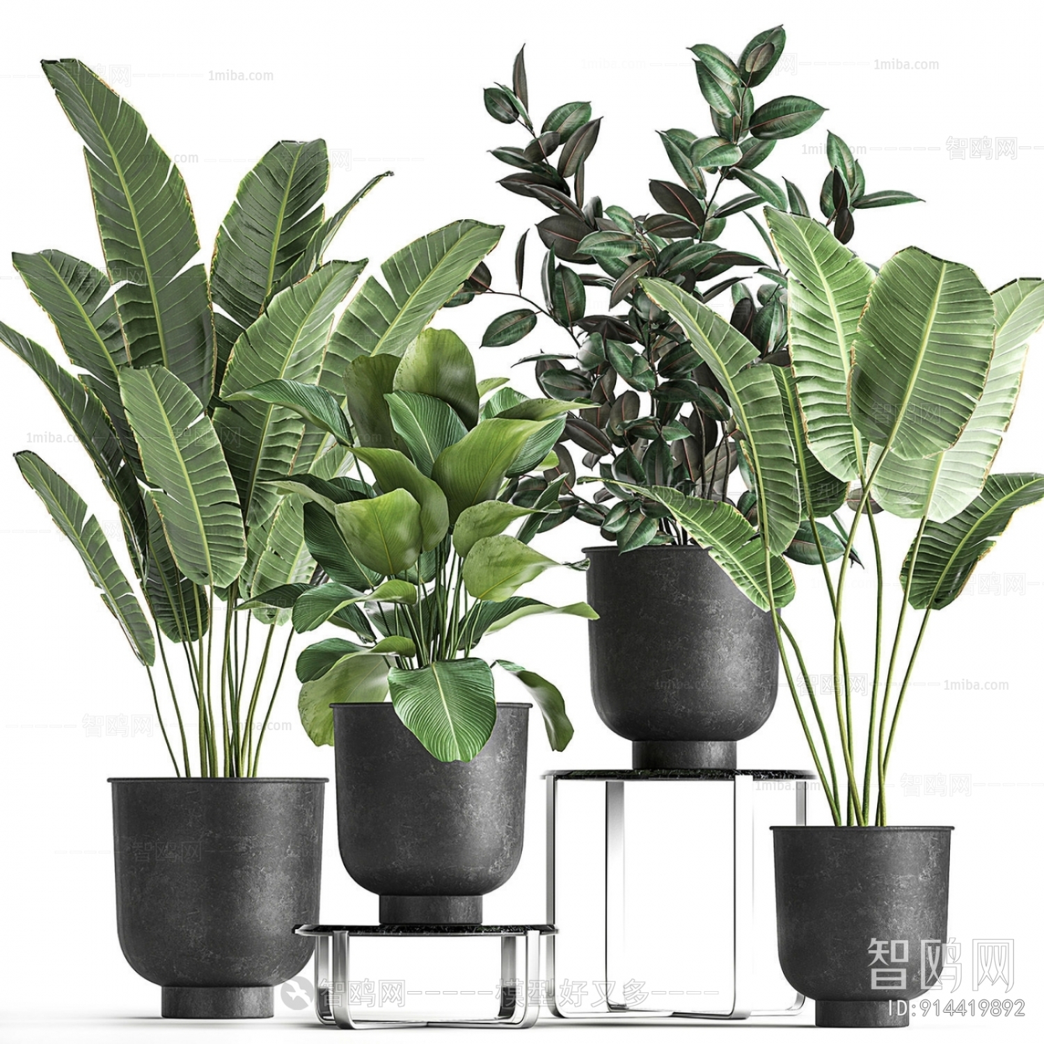 Modern Ground Green Plant Potted Plants