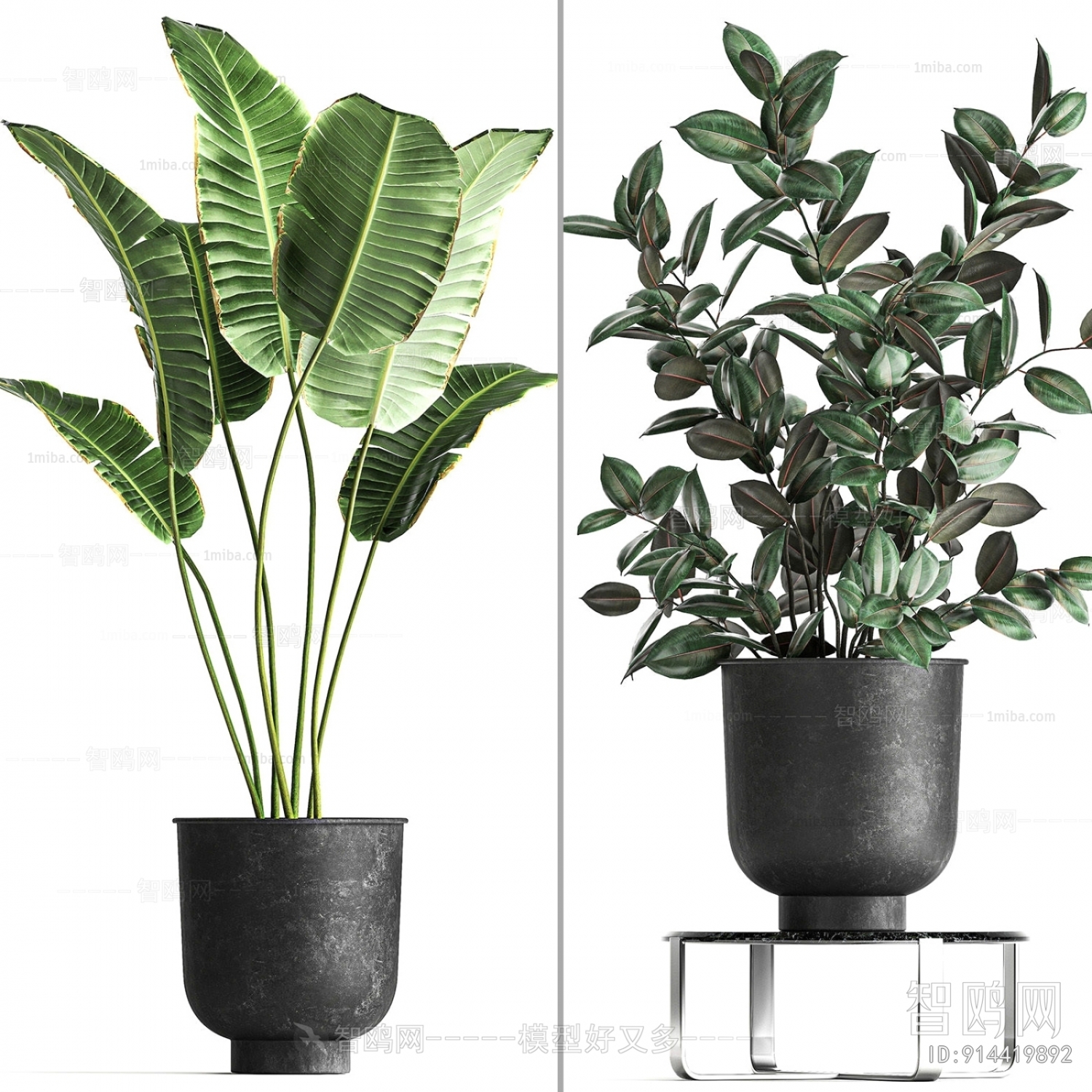 Modern Ground Green Plant Potted Plants