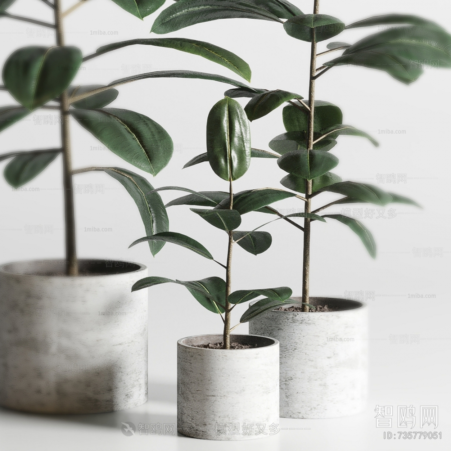 Modern Ground Green Plant Potted Plants