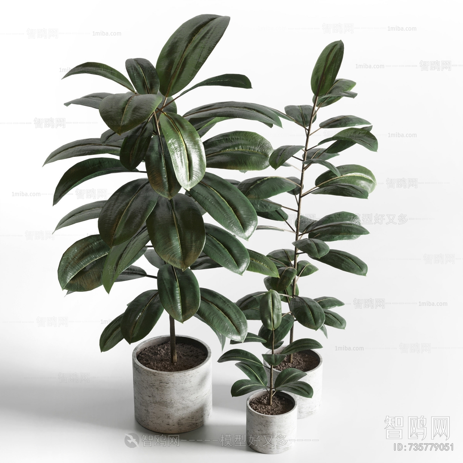 Modern Ground Green Plant Potted Plants