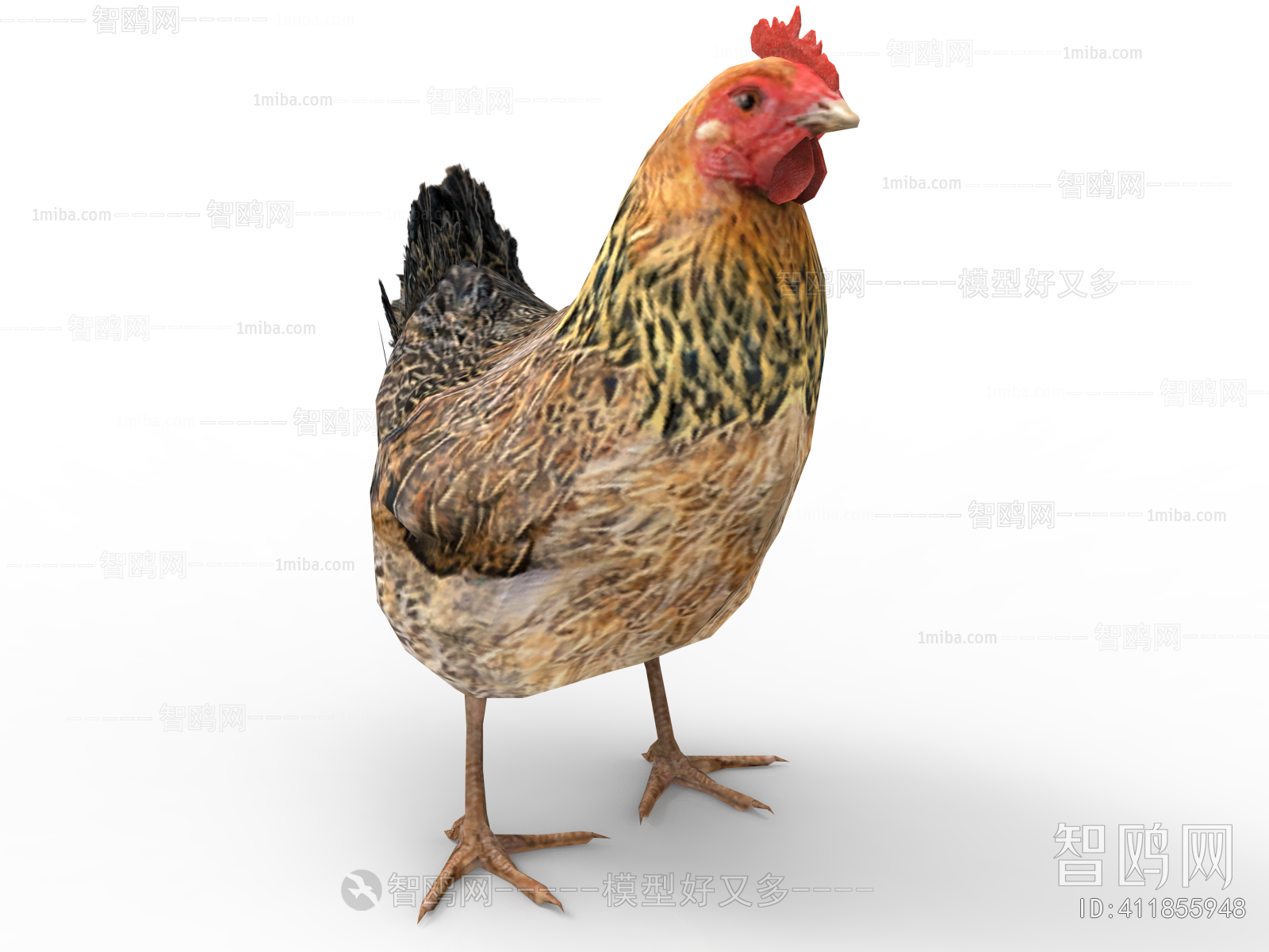 Modern Poultry Animal