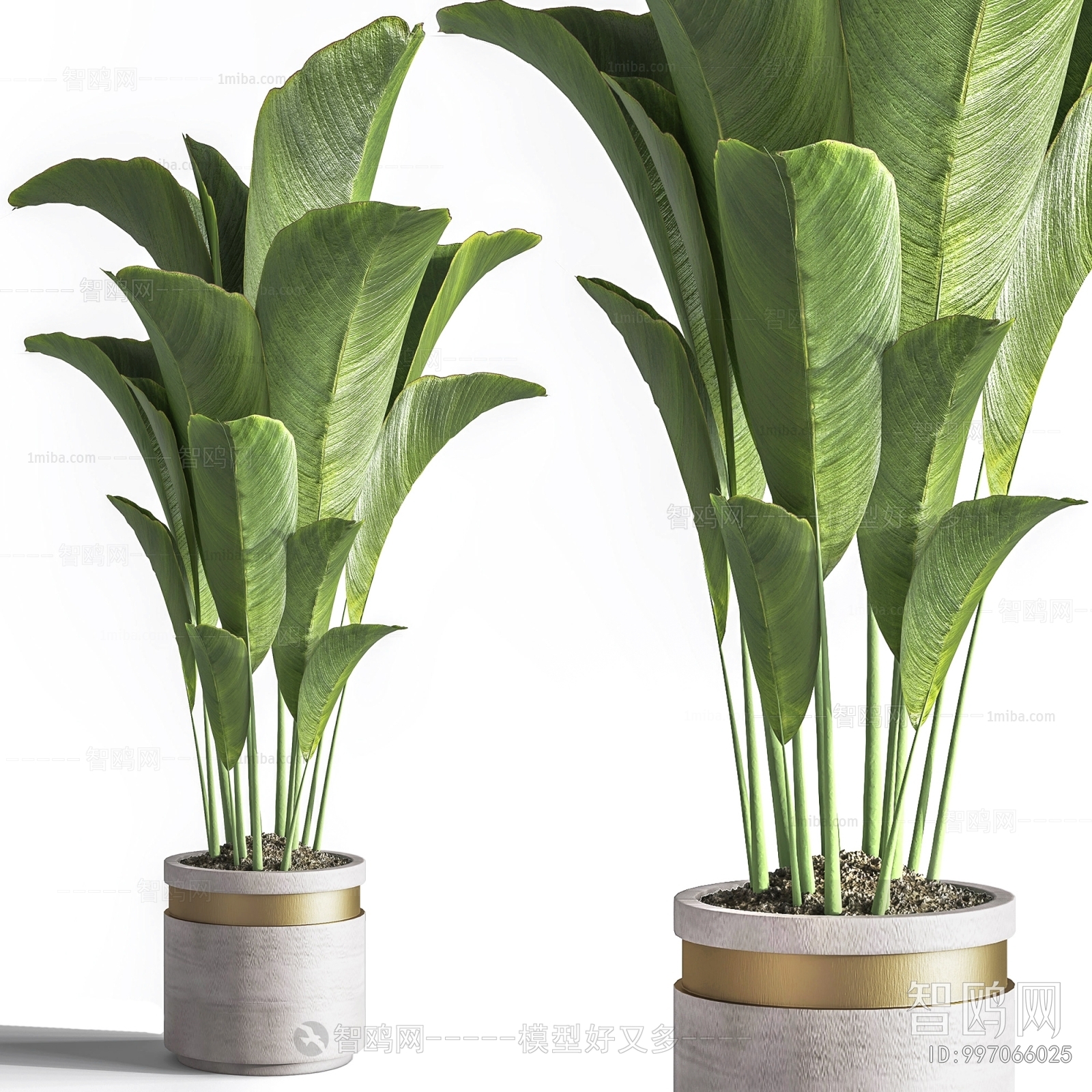 Modern Ground Green Plant Potted Plants