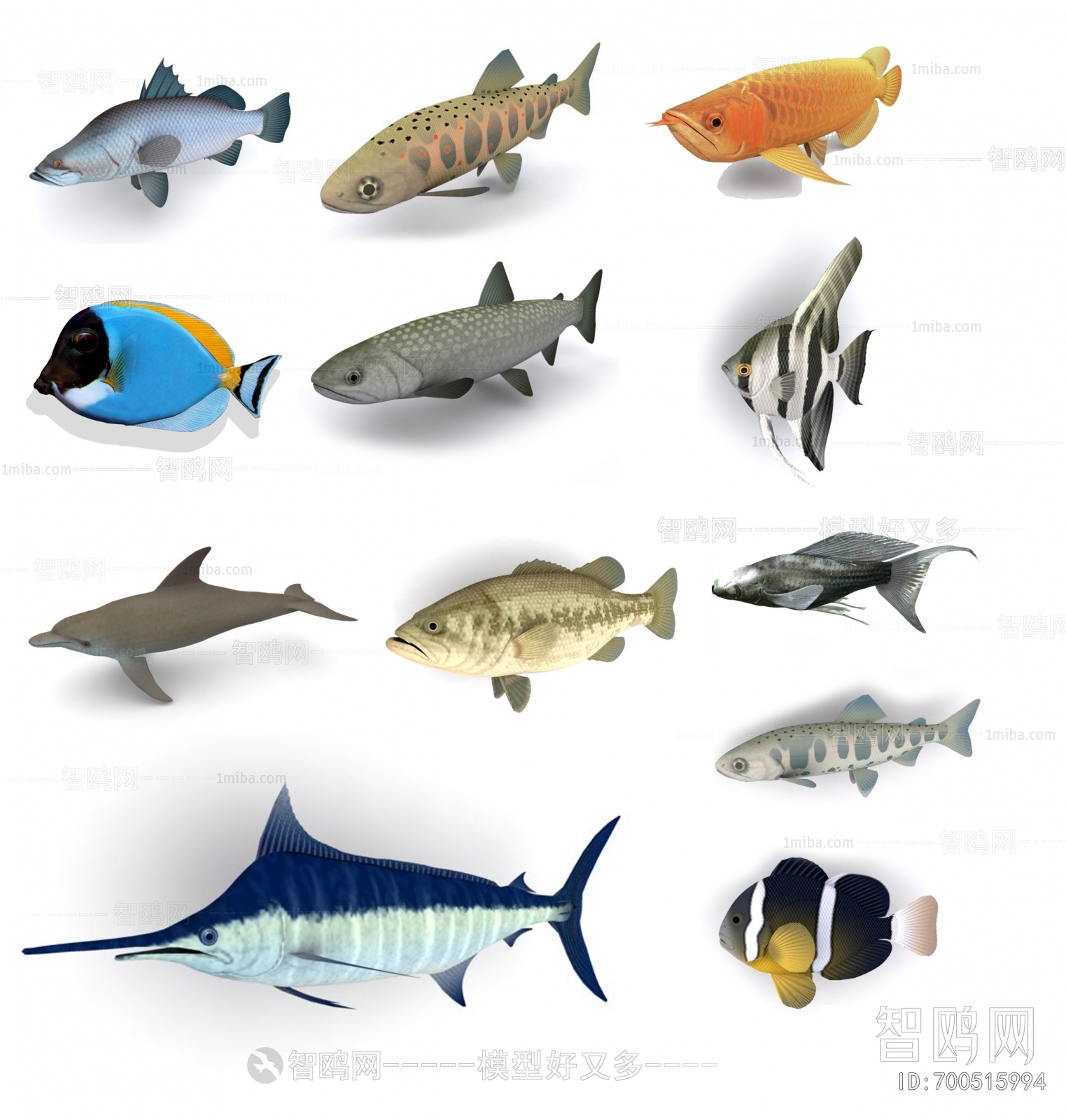 Modern Aquatic Animals