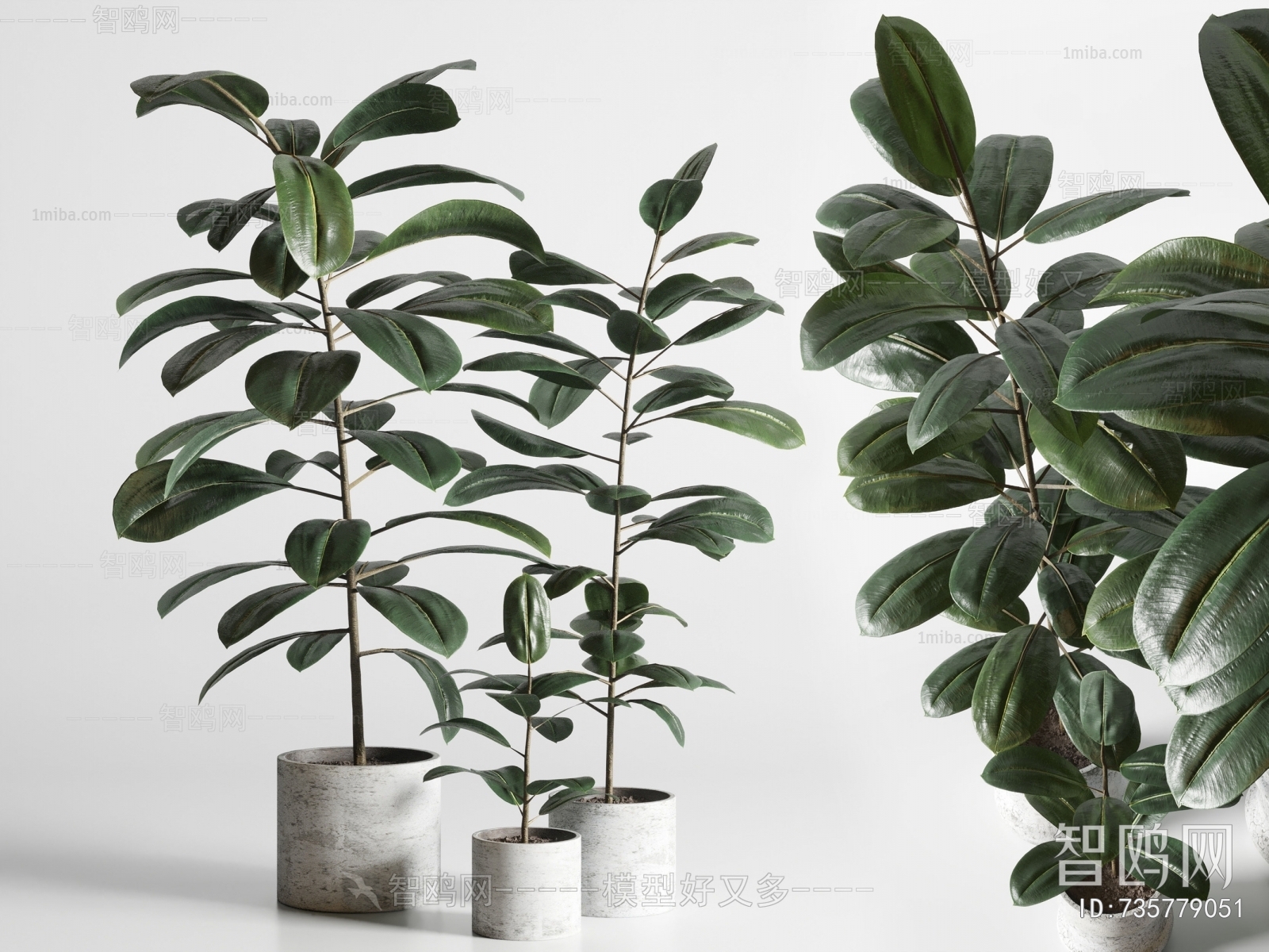 Modern Ground Green Plant Potted Plants