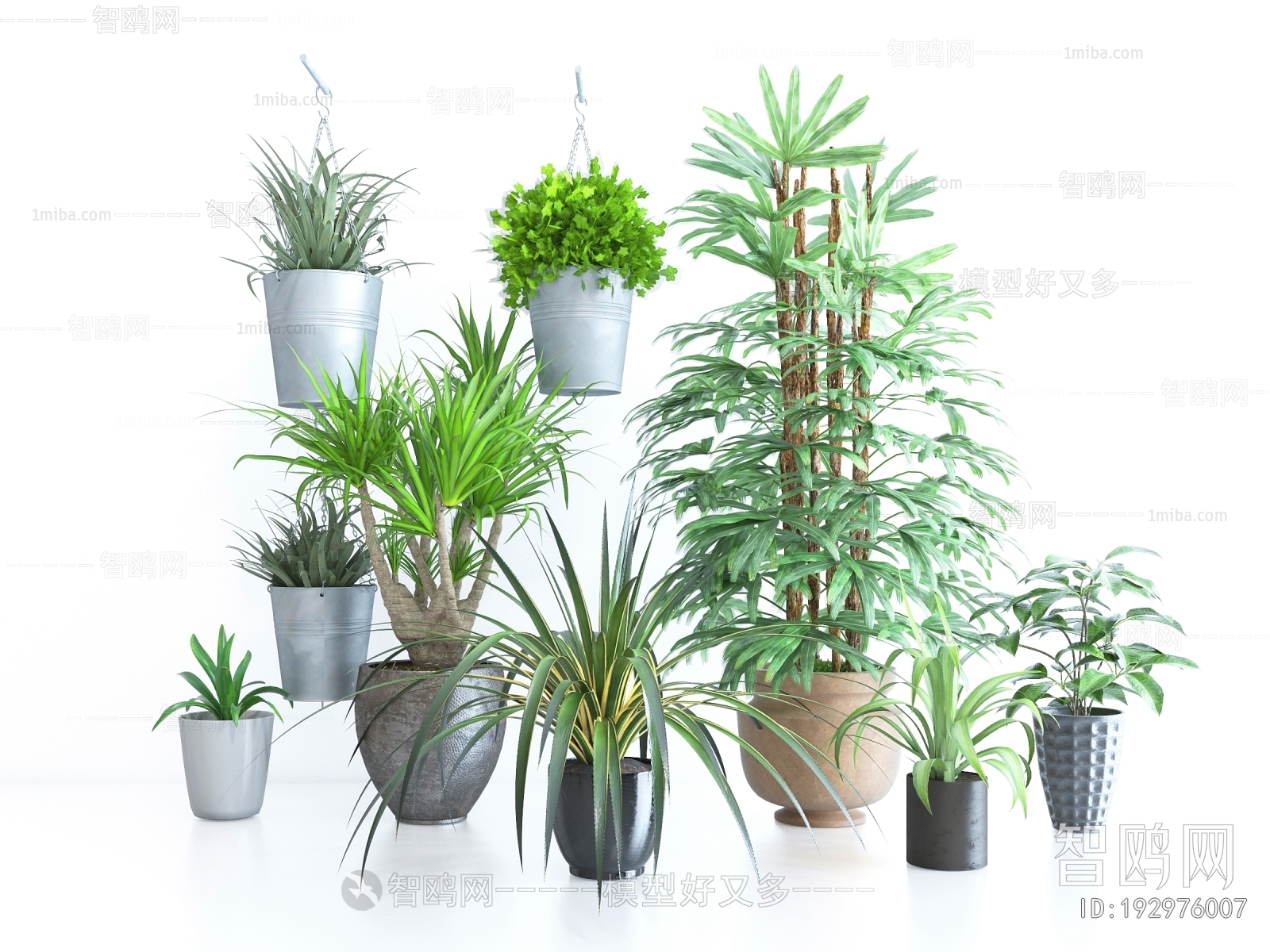 Modern Ground Green Plant Potted Plants