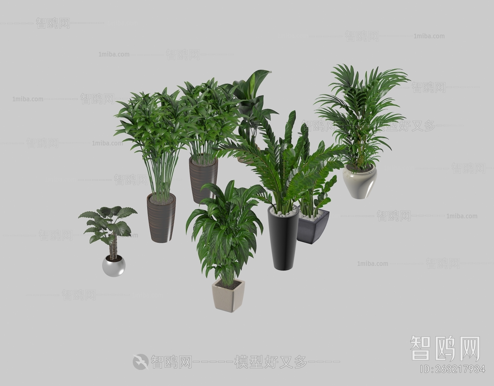 Modern Ground Green Plant Potted Plants