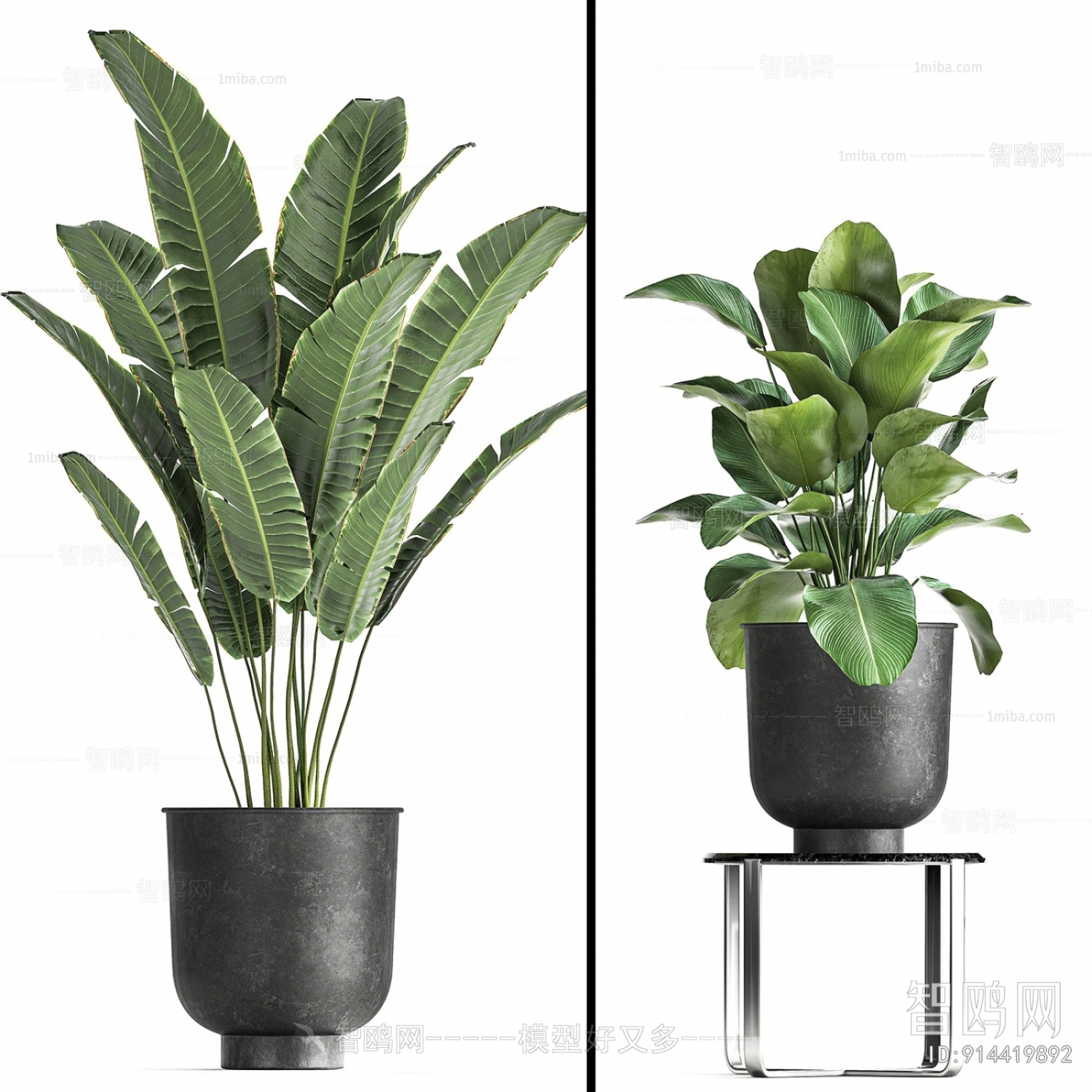 Modern Ground Green Plant Potted Plants